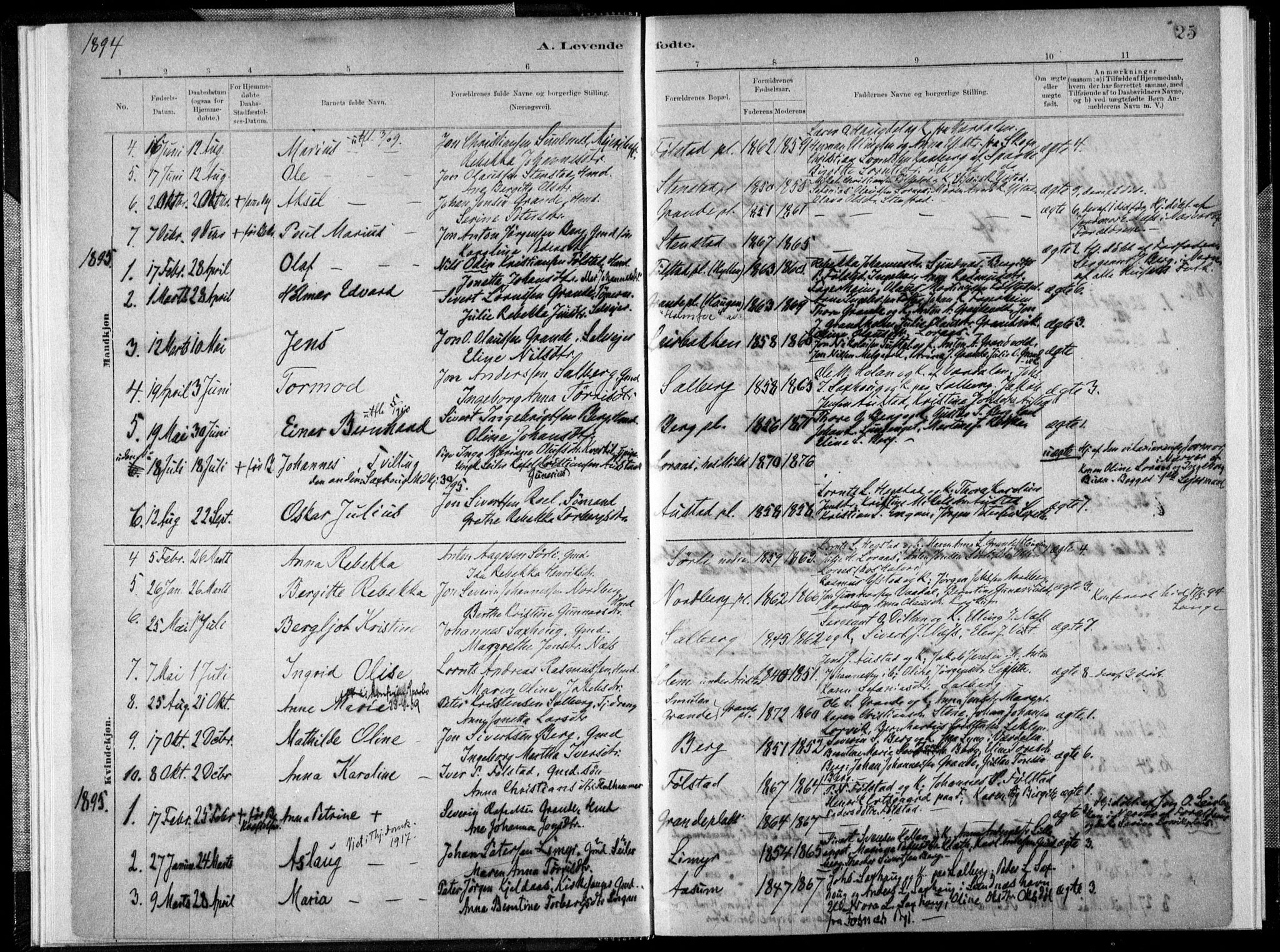 Ministerialprotokoller, klokkerbøker og fødselsregistre - Nord-Trøndelag, AV/SAT-A-1458/731/L0309: Parish register (official) no. 731A01, 1879-1918, p. 25