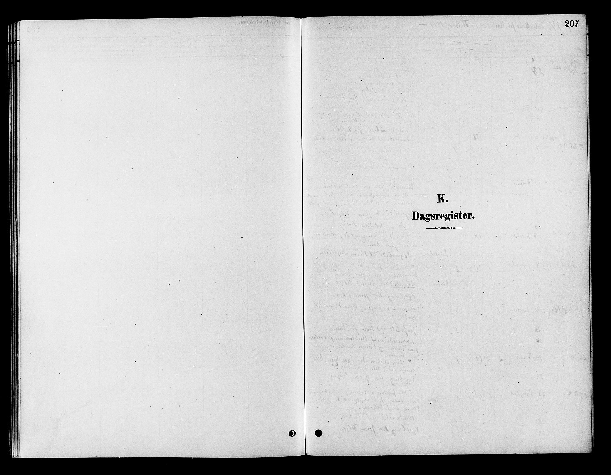 Flesberg kirkebøker, SAKO/A-18/F/Fb/L0001: Parish register (official) no. II 1, 1879-1907, p. 207