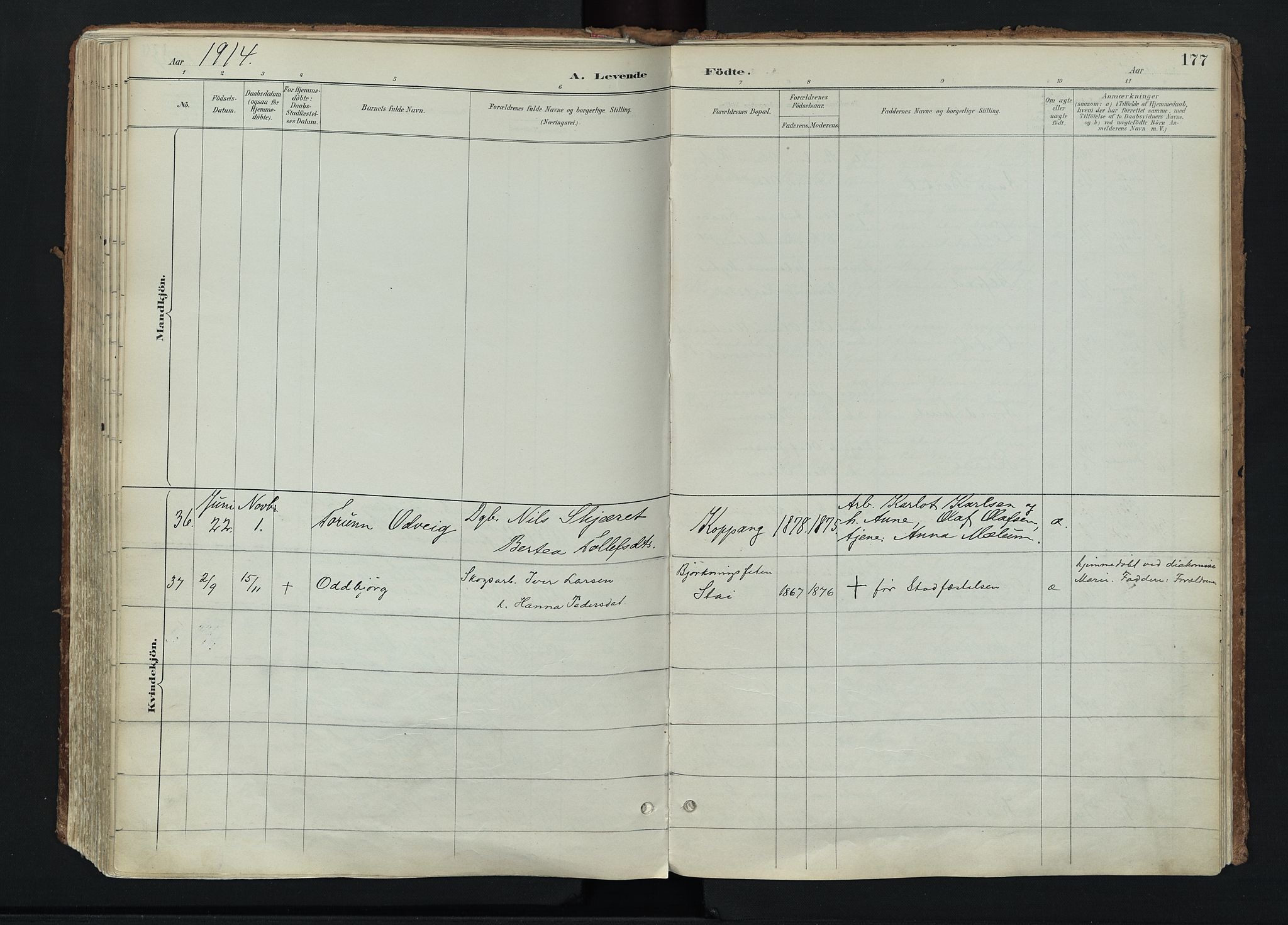 Stor-Elvdal prestekontor, AV/SAH-PREST-052/H/Ha/Haa/L0004: Parish register (official) no. 4, 1890-1922, p. 177