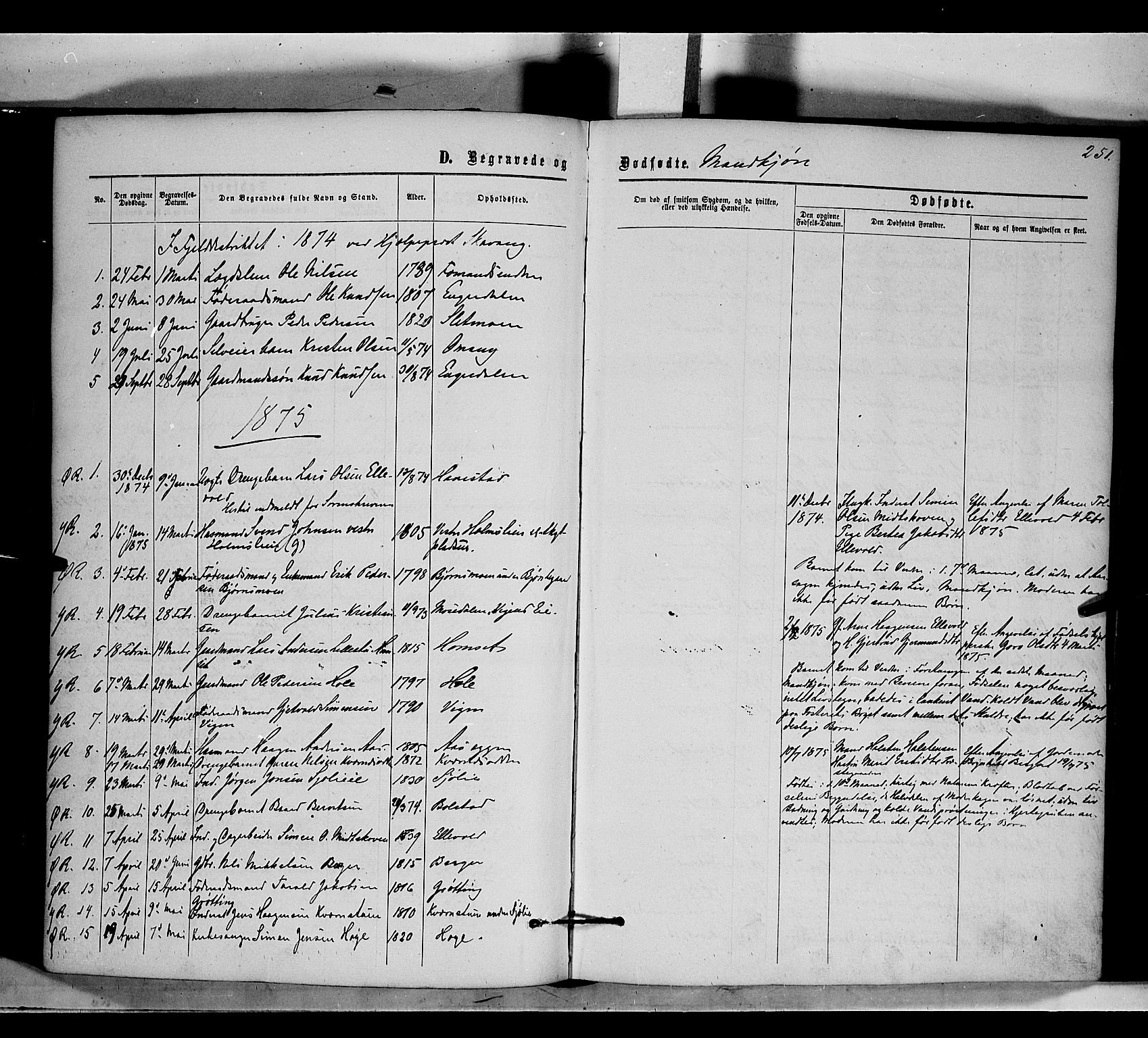 Rendalen prestekontor, SAH/PREST-054/H/Ha/Haa/L0006: Parish register (official) no. 6, 1867-1877, p. 251