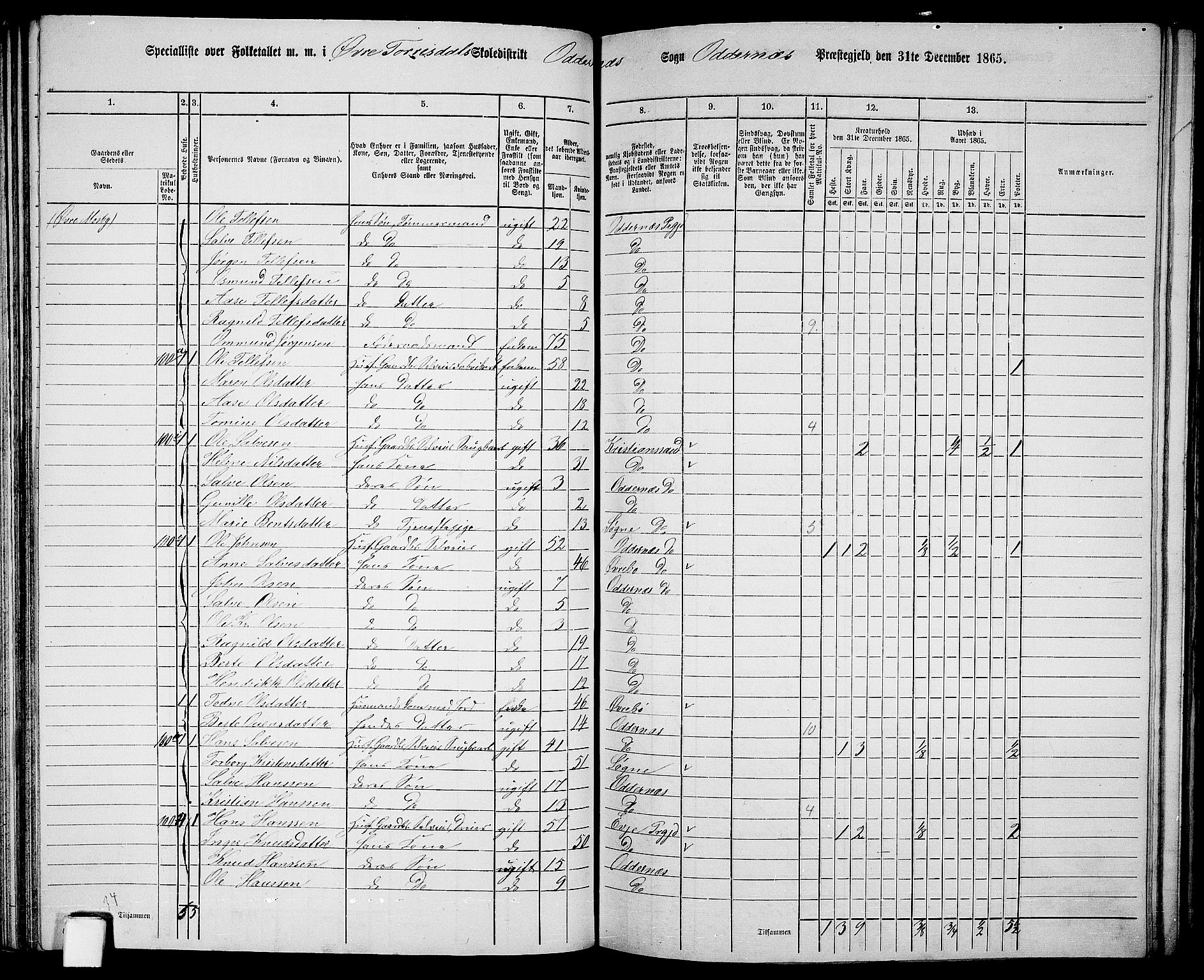 RA, 1865 census for Oddernes, 1865, p. 68