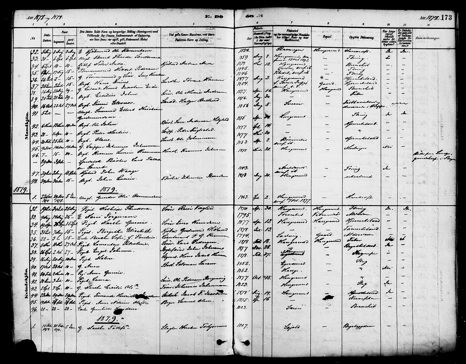 Haugesund sokneprestkontor, AV/SAST-A -101863/H/Ha/Haa/L0001: Parish register (official) no. A 1, 1878-1885, p. 173