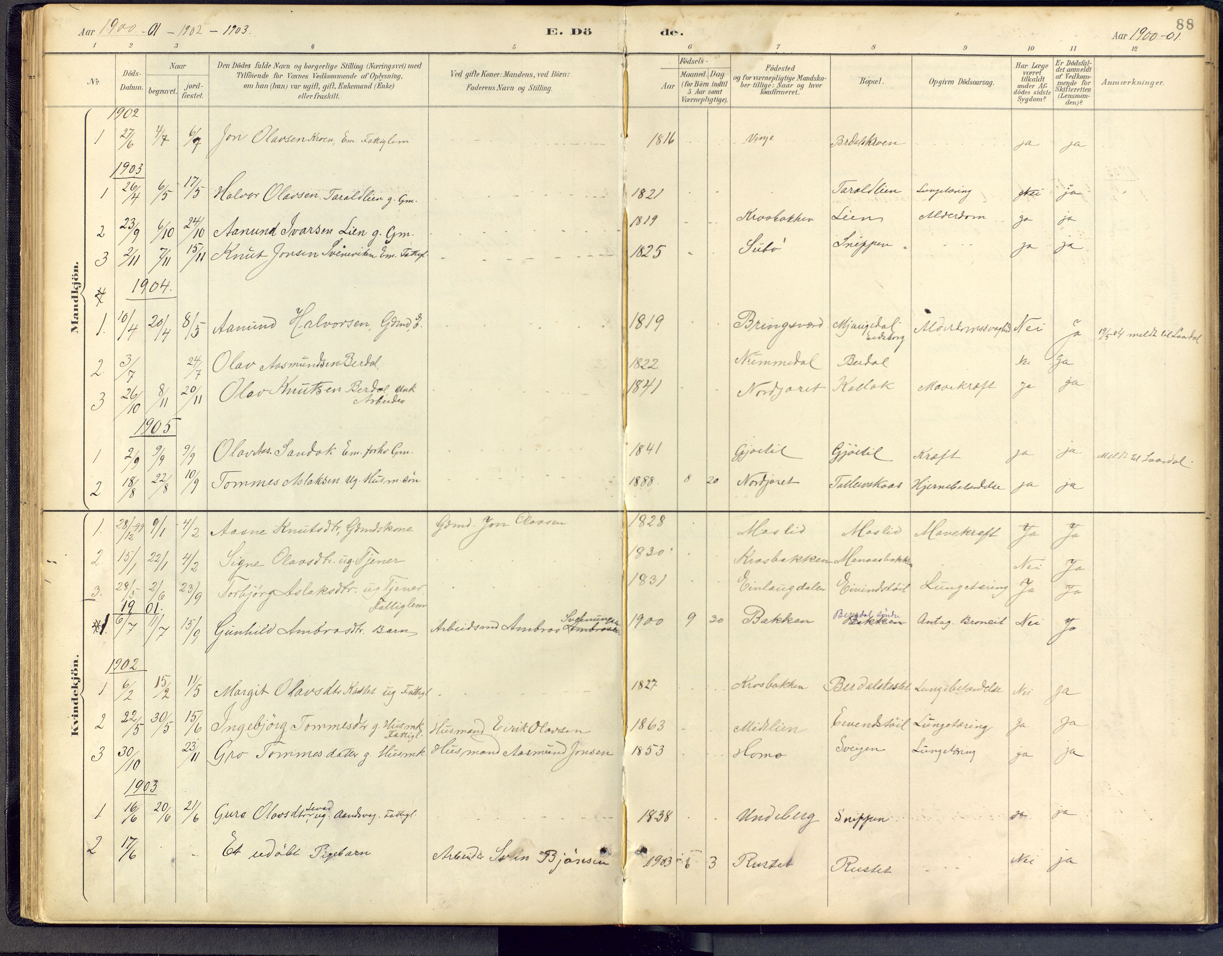 Vinje kirkebøker, SAKO/A-312/F/Fb/L0002: Parish register (official) no. II 2, 1887-1925, p. 88