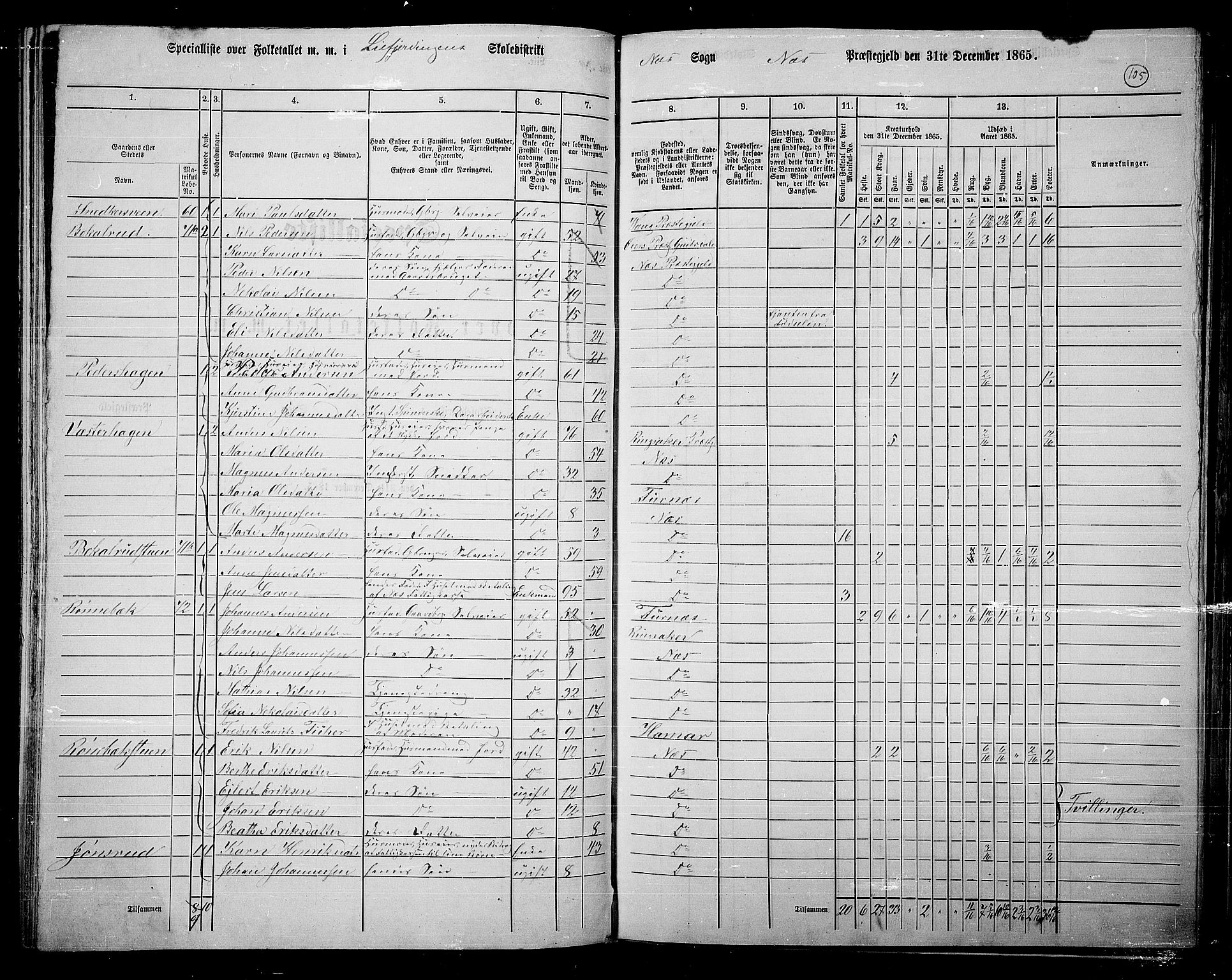 RA, 1865 census for Nes, 1865, p. 90