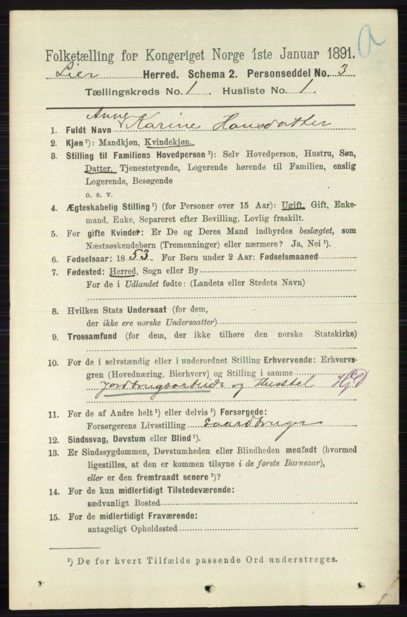 RA, 1891 census for 0626 Lier, 1891, p. 189