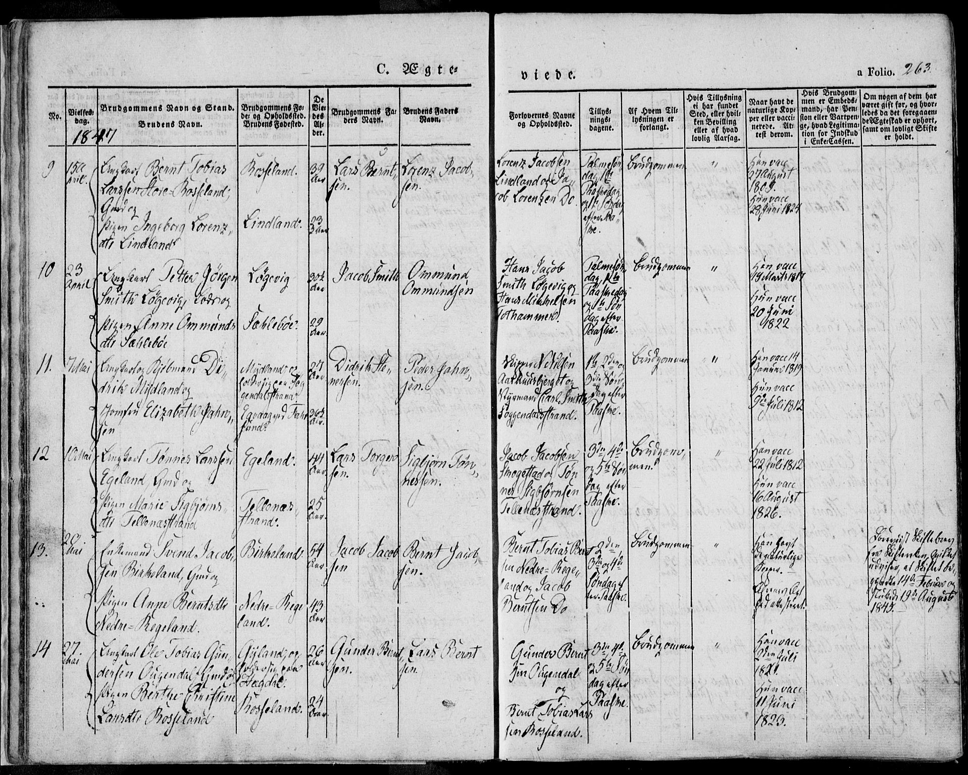 Sokndal sokneprestkontor, AV/SAST-A-101808: Parish register (official) no. A 8.2, 1842-1857, p. 263