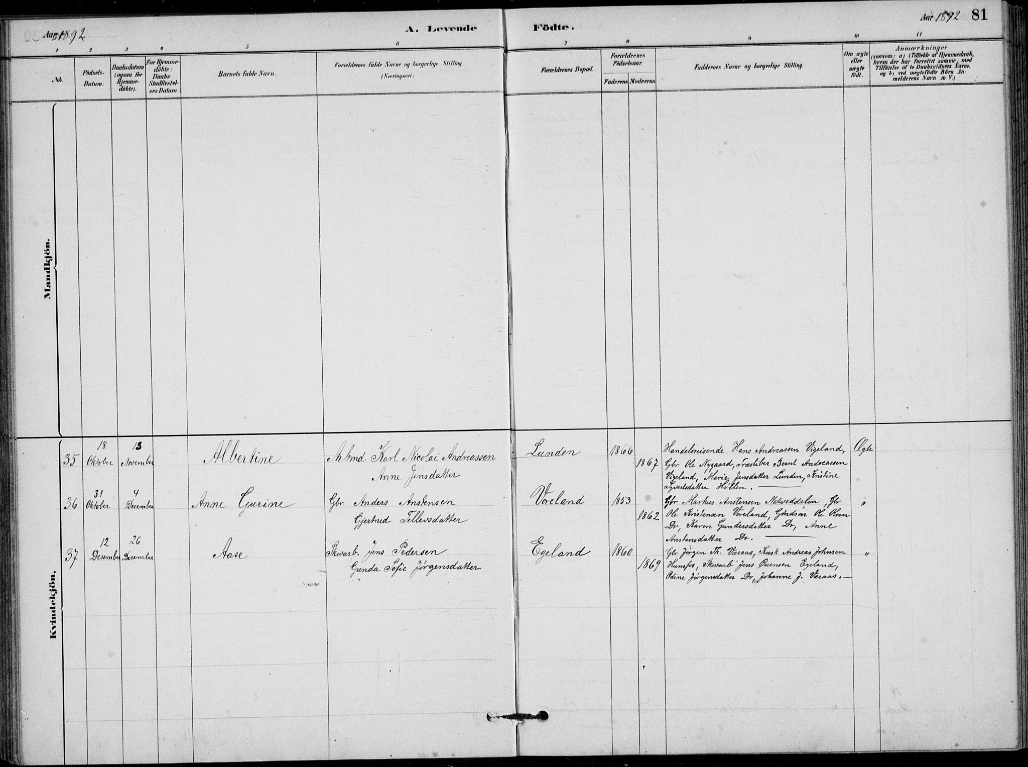 Vennesla sokneprestkontor, AV/SAK-1111-0045/Fb/Fbb/L0003: Parish register (copy) no. B 3, 1879-1893, p. 81