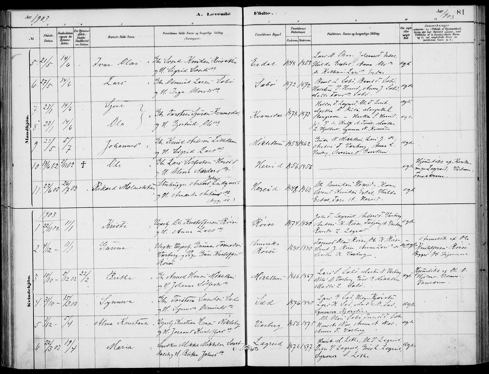 Ulvik sokneprestembete, AV/SAB-A-78801/H/Haa: Parish register (official) no. D  1, 1878-1903, p. 81