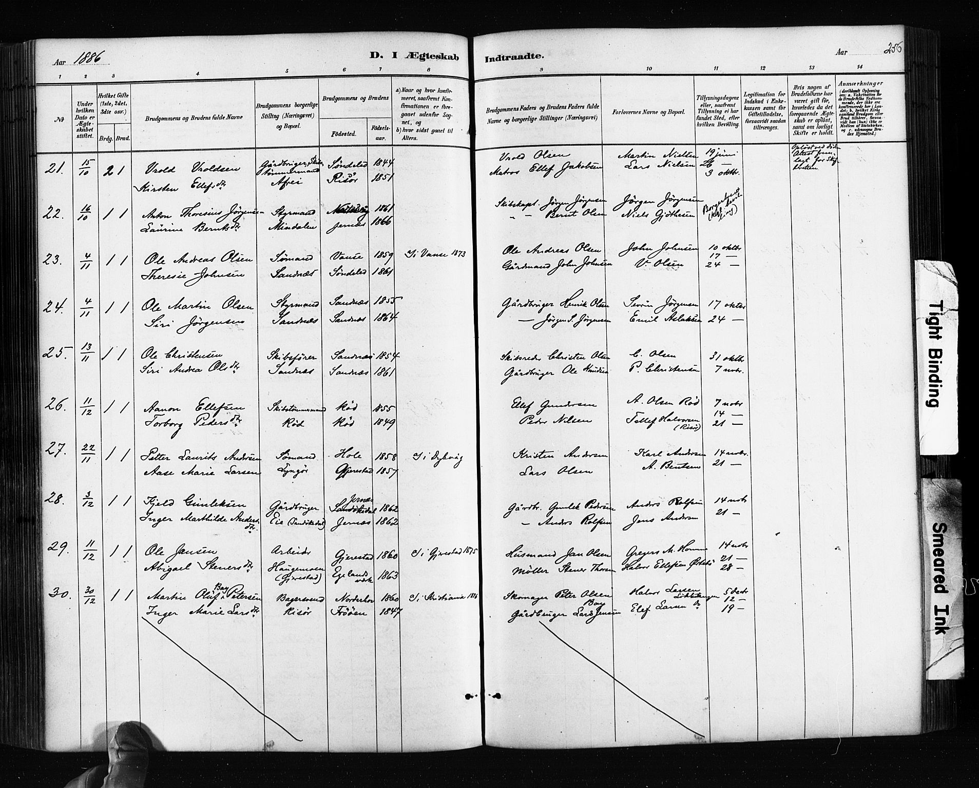 Søndeled sokneprestkontor, SAK/1111-0038/F/Fa/L0004: Parish register (official) no. A 4, 1880-1889, p. 256