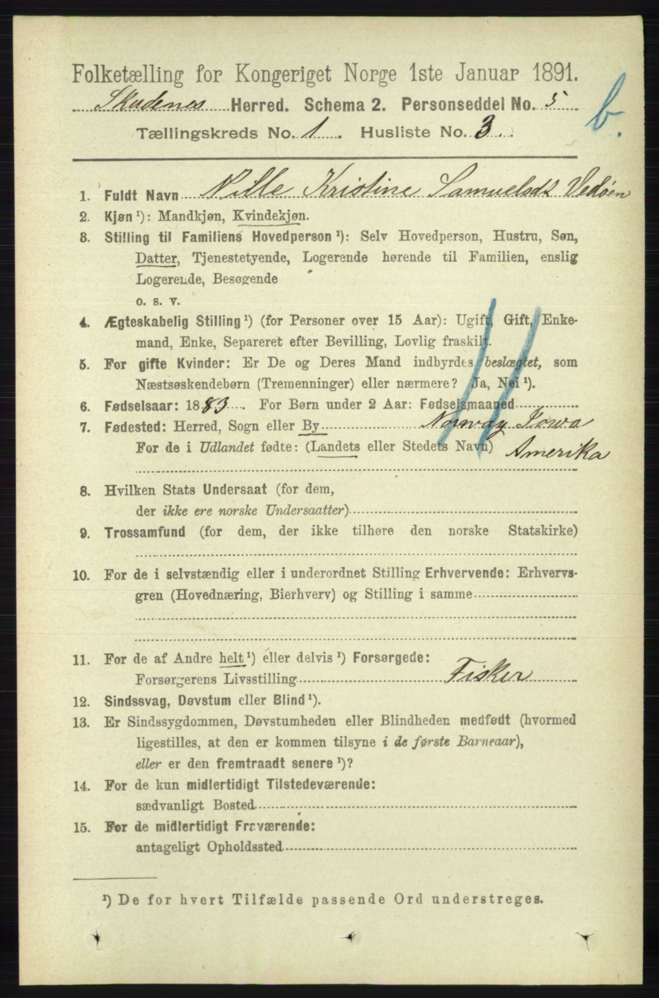 RA, 1891 census for 1150 Skudenes, 1891, p. 3413