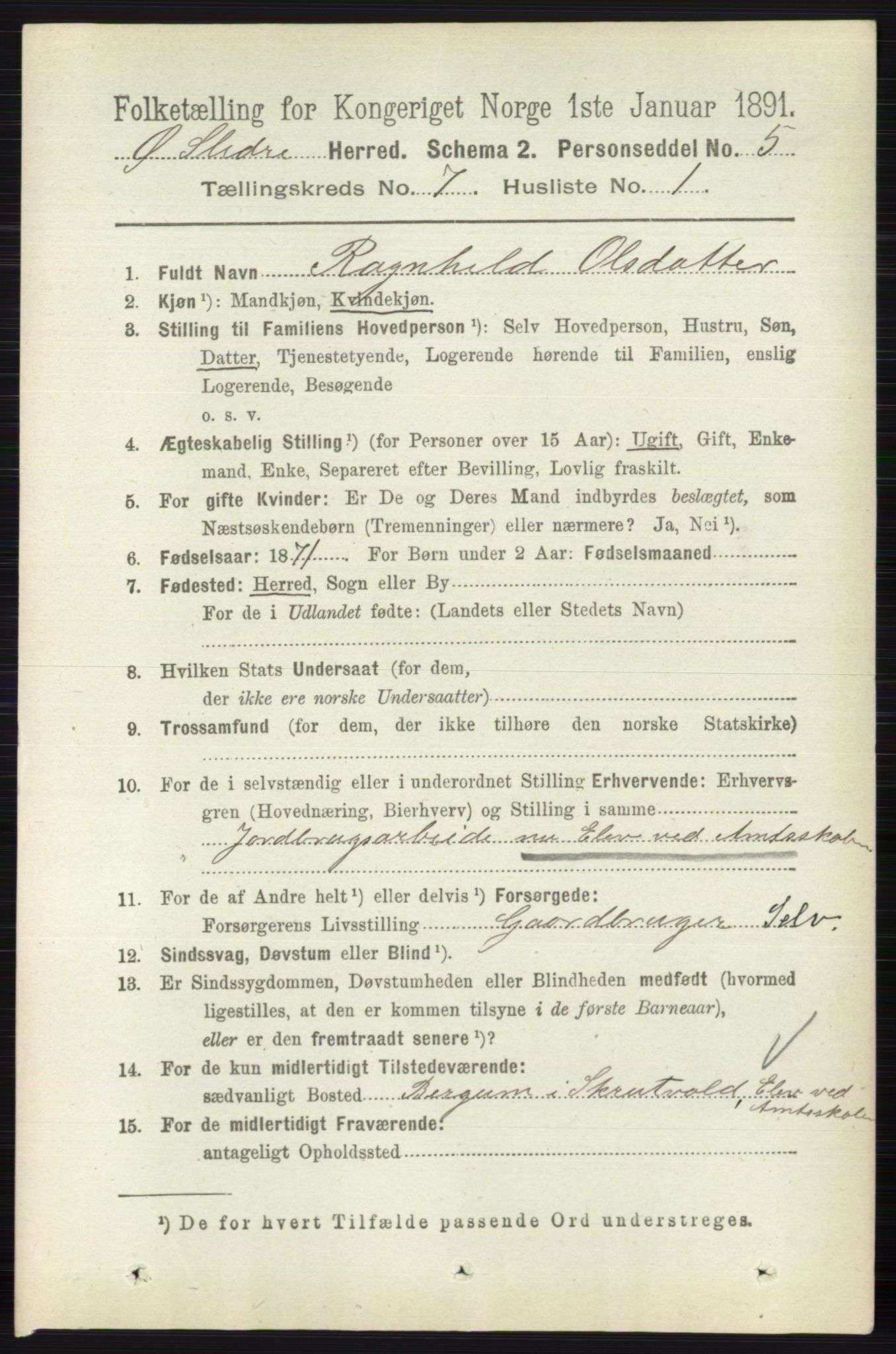 RA, 1891 census for 0544 Øystre Slidre, 1891, p. 2175