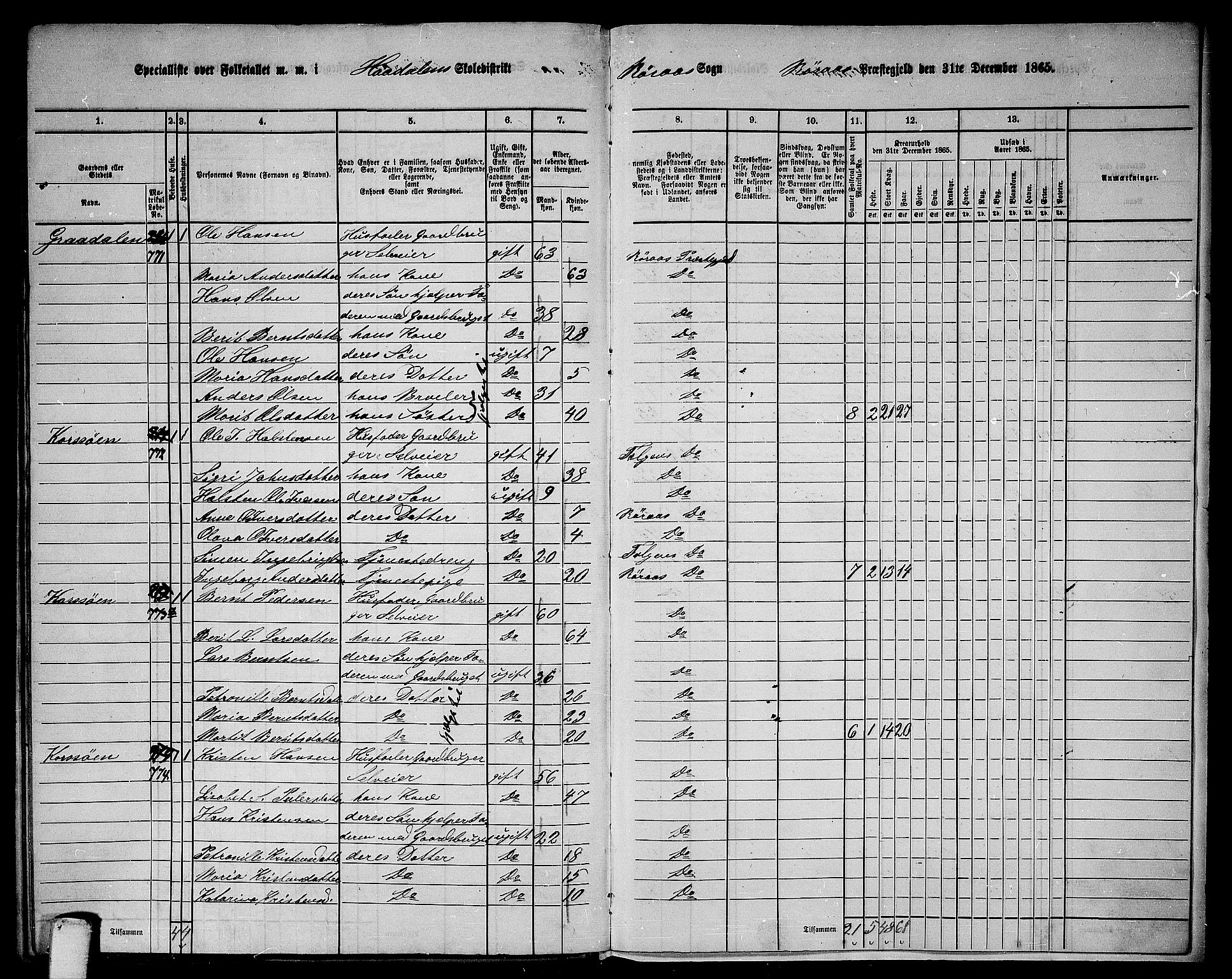 RA, 1865 census for Røros, 1865, p. 165