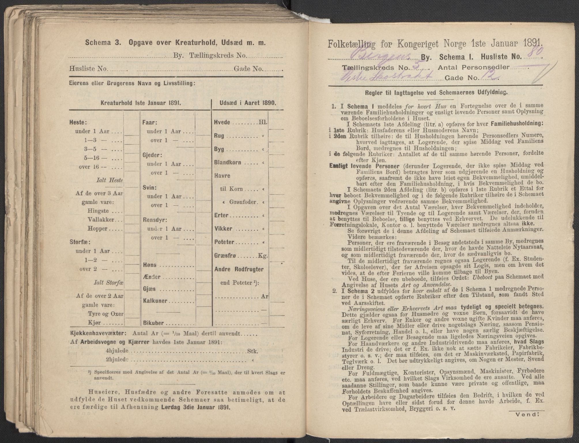 RA, 1891 Census for 1301 Bergen, 1891, p. 1004