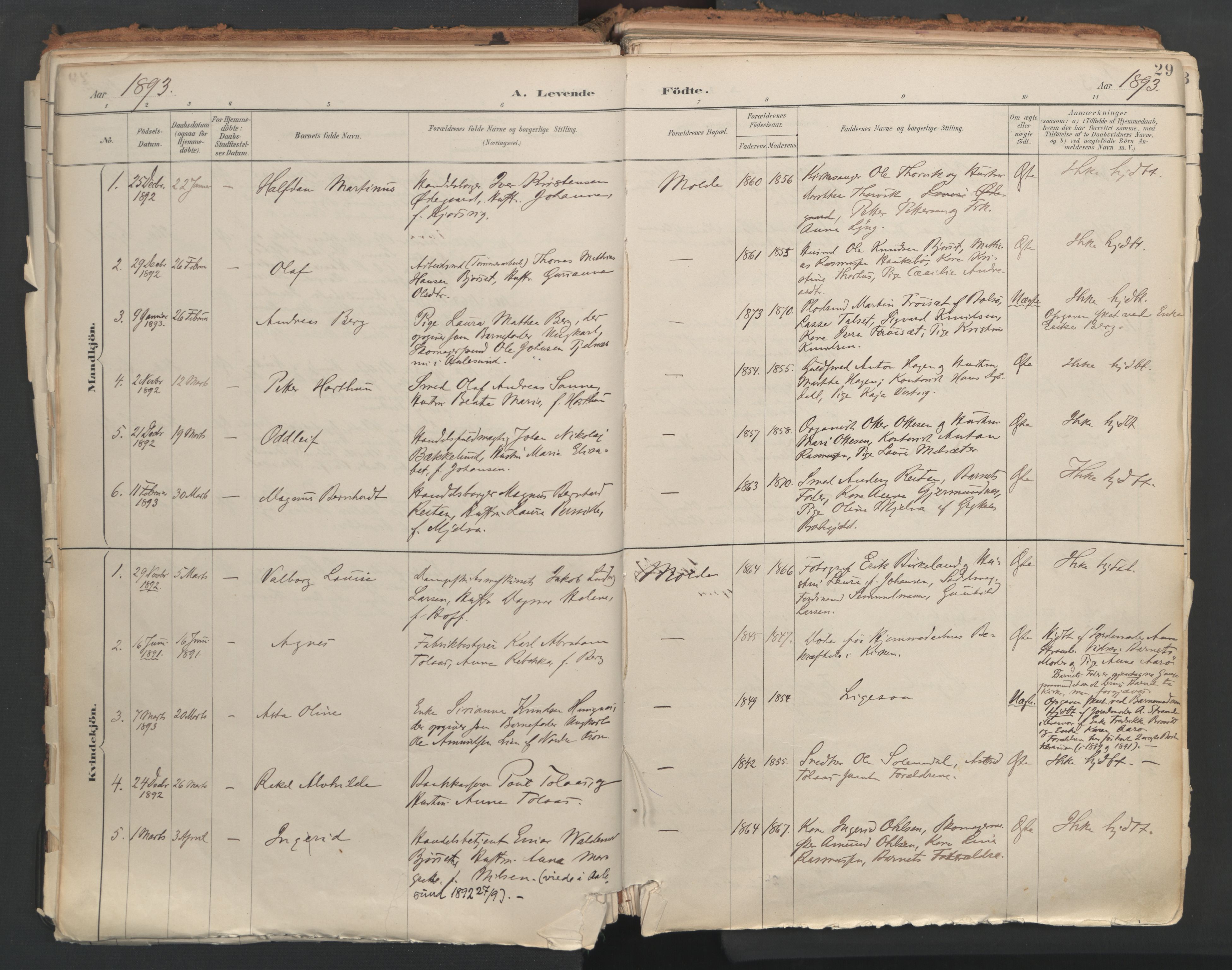 Ministerialprotokoller, klokkerbøker og fødselsregistre - Møre og Romsdal, AV/SAT-A-1454/558/L0692: Parish register (official) no. 558A06, 1887-1971, p. 29