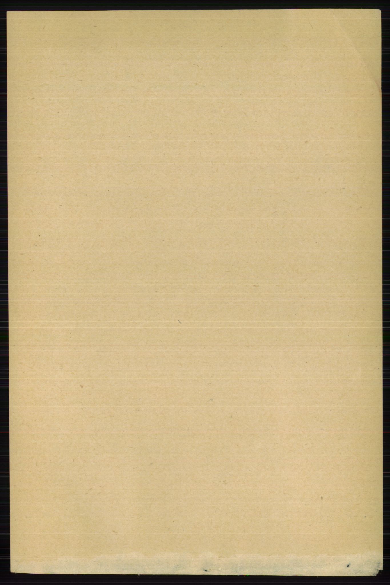 RA, 1891 census for 0712 Skoger, 1891, p. 1557