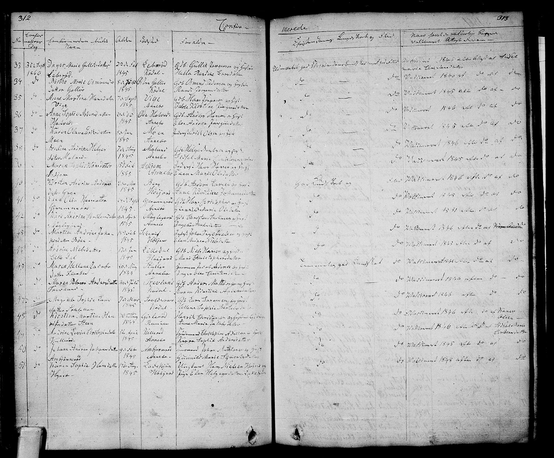 Andebu kirkebøker, AV/SAKO-A-336/G/Ga/L0003: Parish register (copy) no. I 3, 1832-1867, p. 312-313