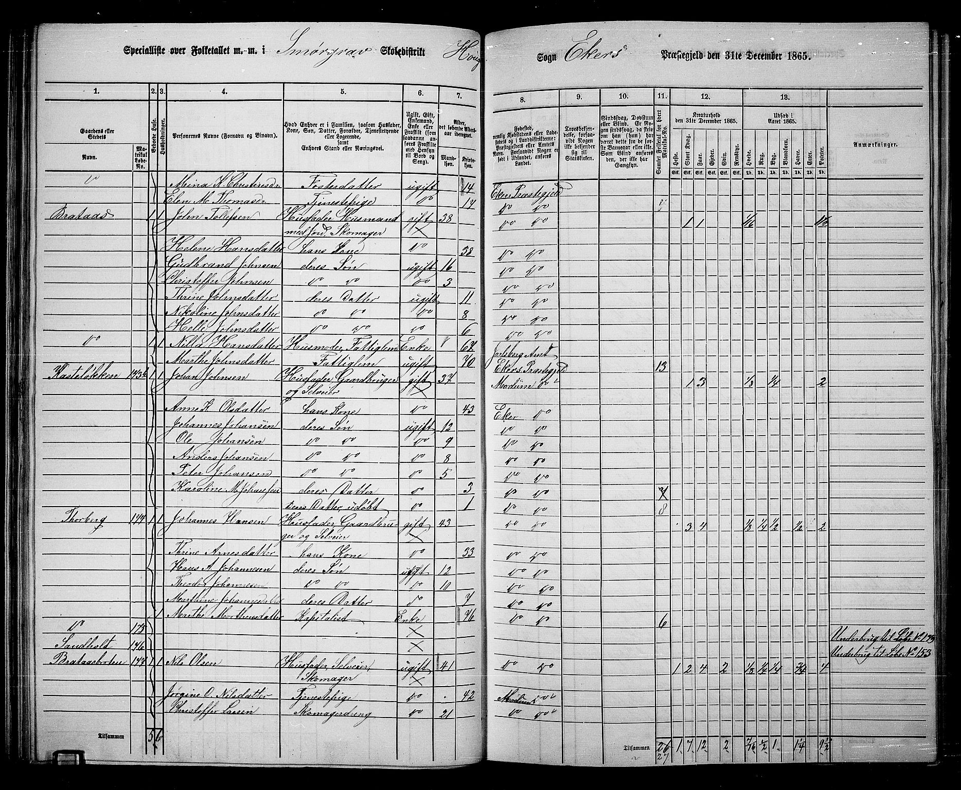 RA, 1865 census for Eiker, 1865, p. 57