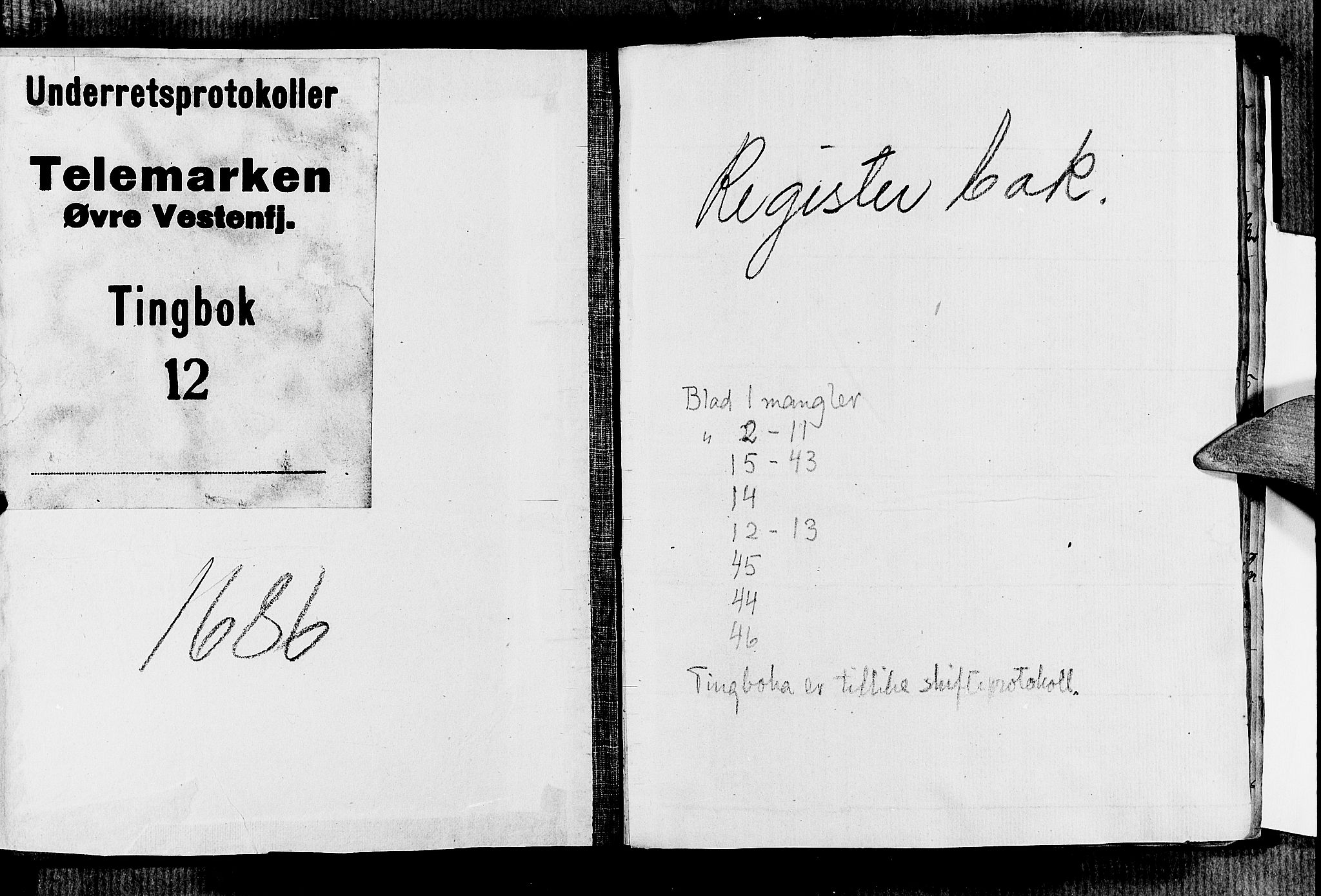 Vest-Telemark sorenskriveri, SAKO/A-134/F/Fa/L0012: Tingbok, 1686