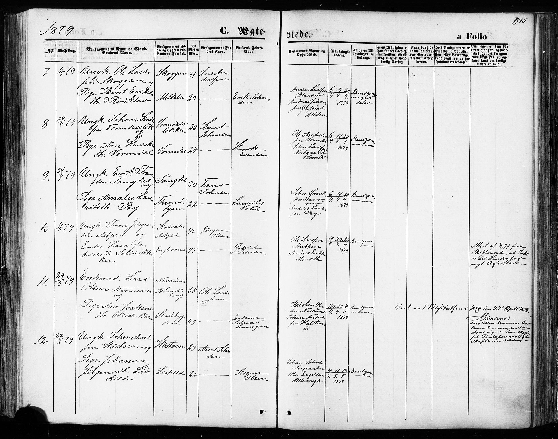 Ministerialprotokoller, klokkerbøker og fødselsregistre - Sør-Trøndelag, SAT/A-1456/668/L0807: Parish register (official) no. 668A07, 1870-1880, p. 315