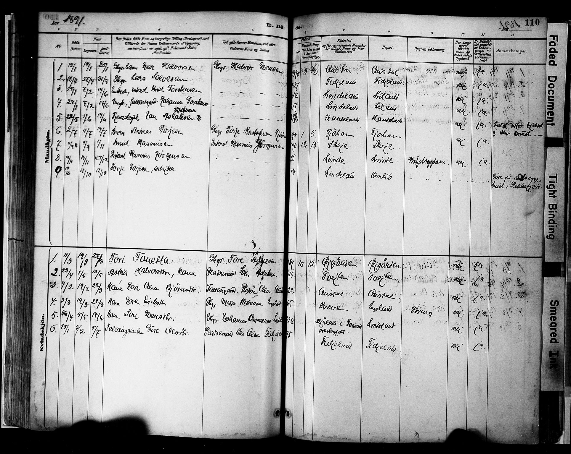 Sirdal sokneprestkontor, AV/SAK-1111-0036/F/Fa/Faa/L0001: Parish register (official) no. A 1, 1887-1910, p. 110