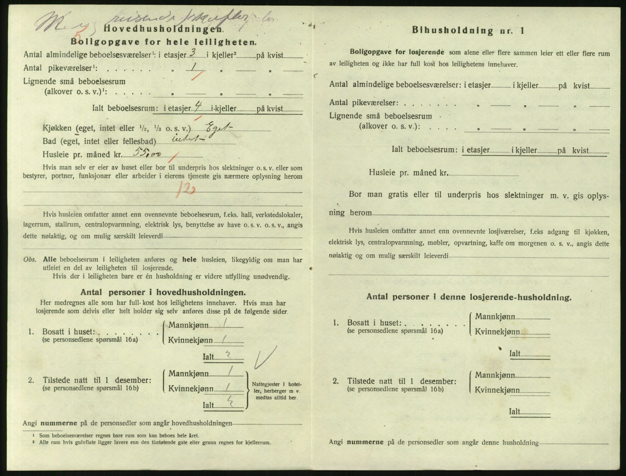 SAKO, 1920 census for Larvik, 1920, p. 4797