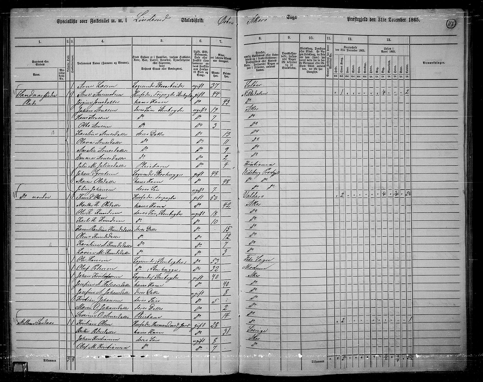 RA, 1865 census for Østre Aker, 1865, p. 106