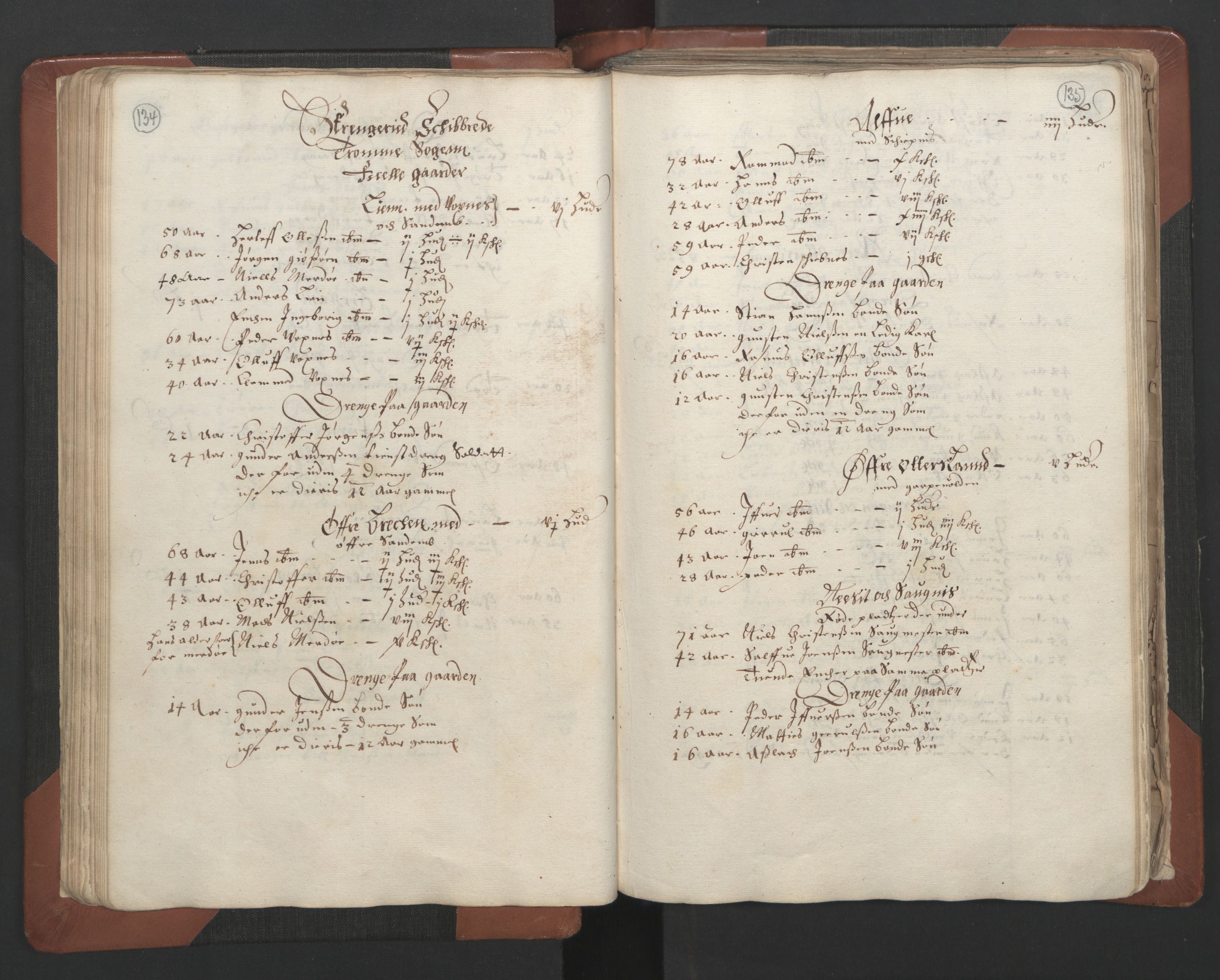 RA, Bailiff's Census 1664-1666, no. 7: Nedenes fogderi, 1664-1666, p. 134-135