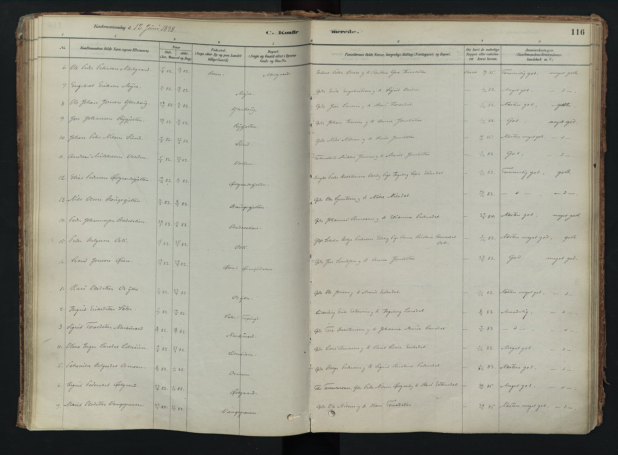 Tolga prestekontor, SAH/PREST-062/K/L0008: Parish register (official) no. 8, 1877-1910, p. 116