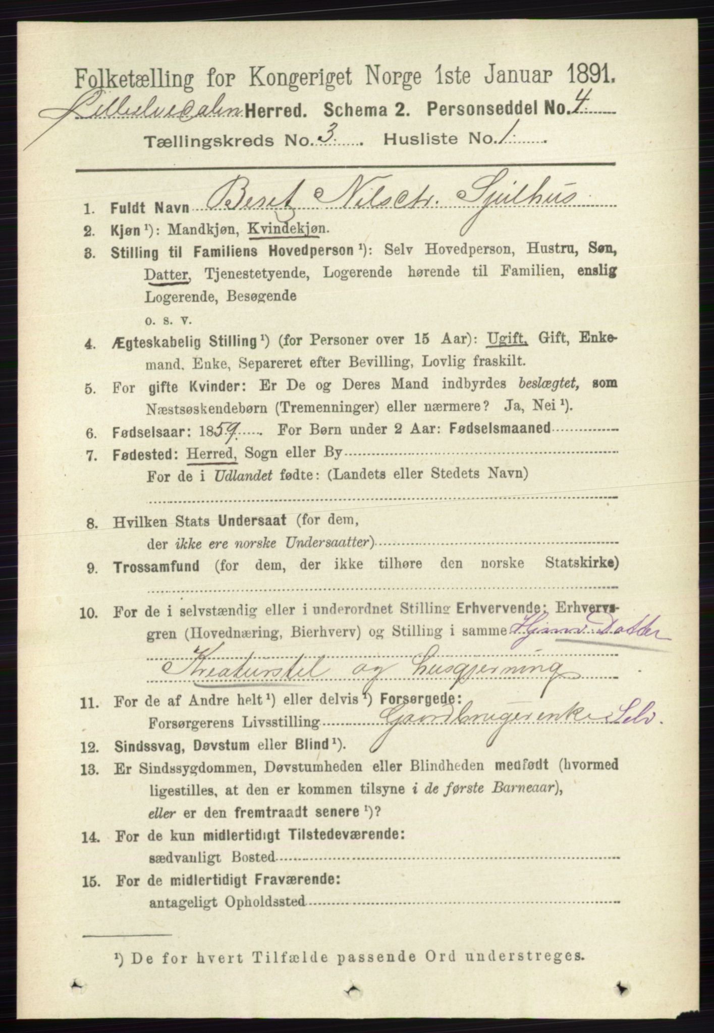 RA, 1891 census for 0438 Lille Elvedalen, 1891, p. 1032