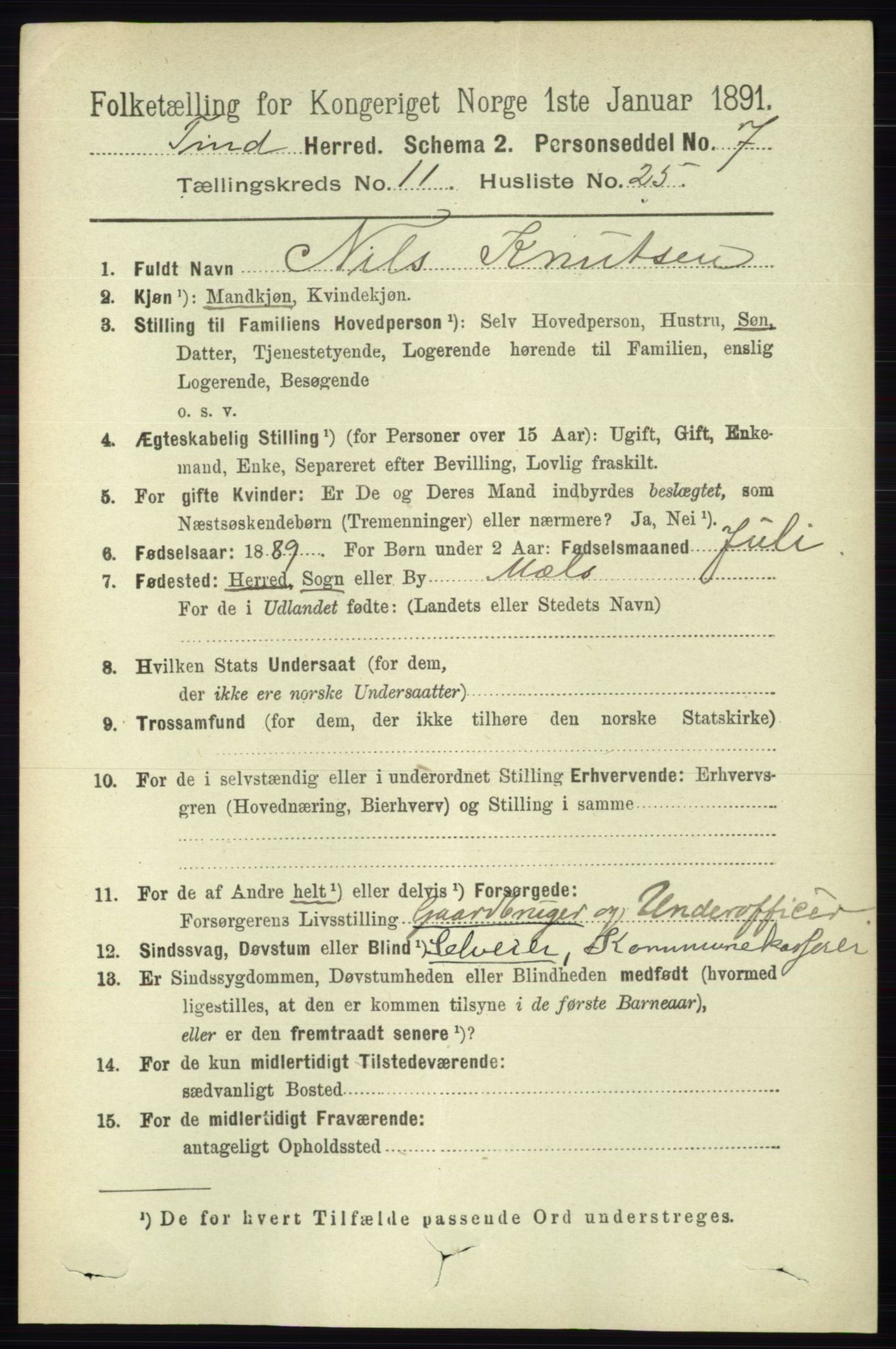 RA, 1891 census for 0826 Tinn, 1891, p. 2255