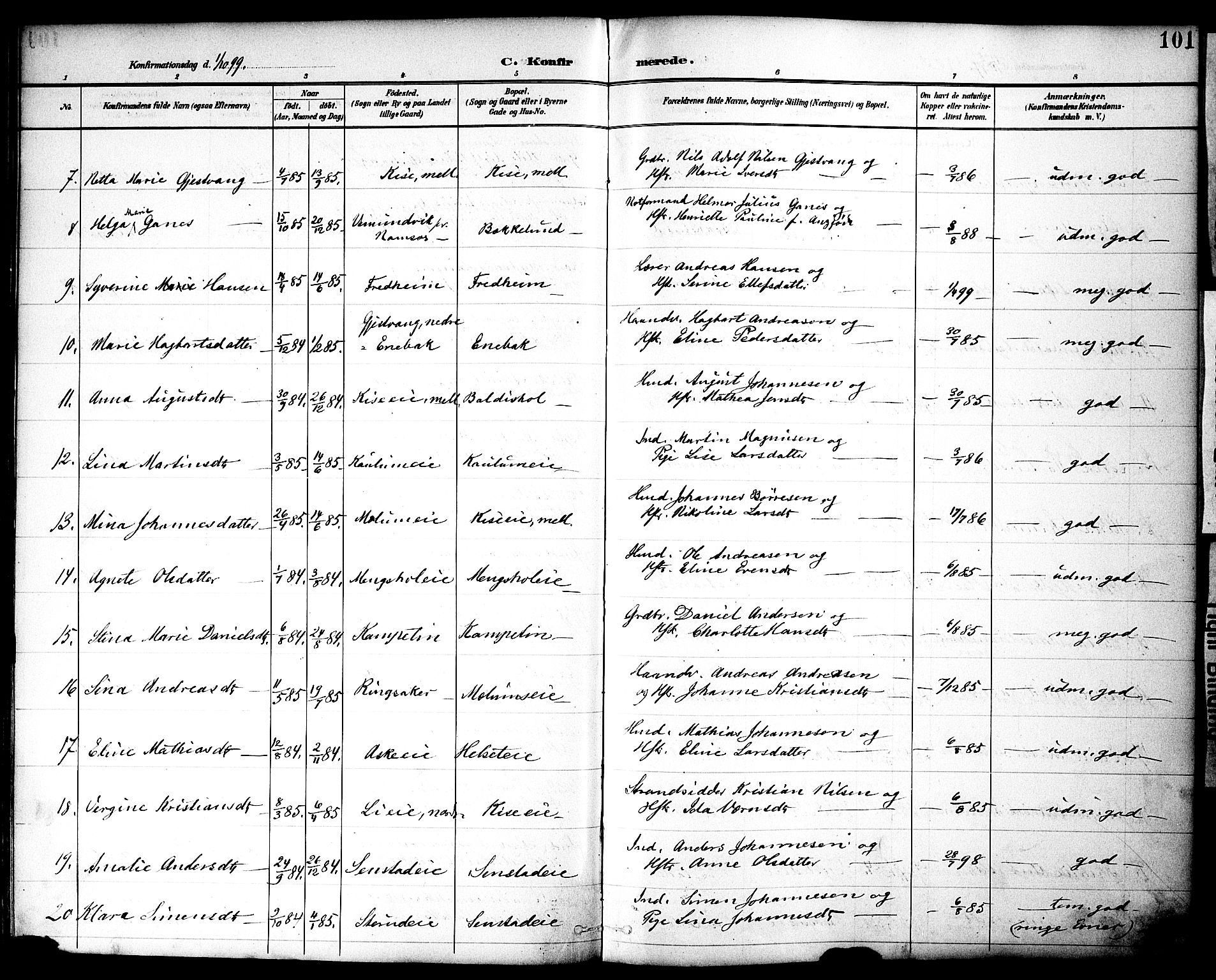 Nes prestekontor, Hedmark, AV/SAH-PREST-020/K/Ka/L0010: Parish register (official) no. 10, 1887-1905, p. 101