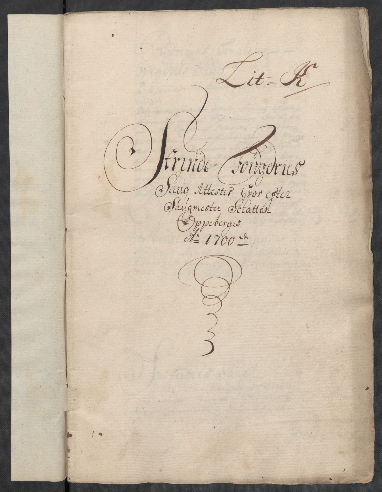 Rentekammeret inntil 1814, Reviderte regnskaper, Fogderegnskap, AV/RA-EA-4092/R61/L4107: Fogderegnskap Strinda og Selbu, 1698-1700, p. 398