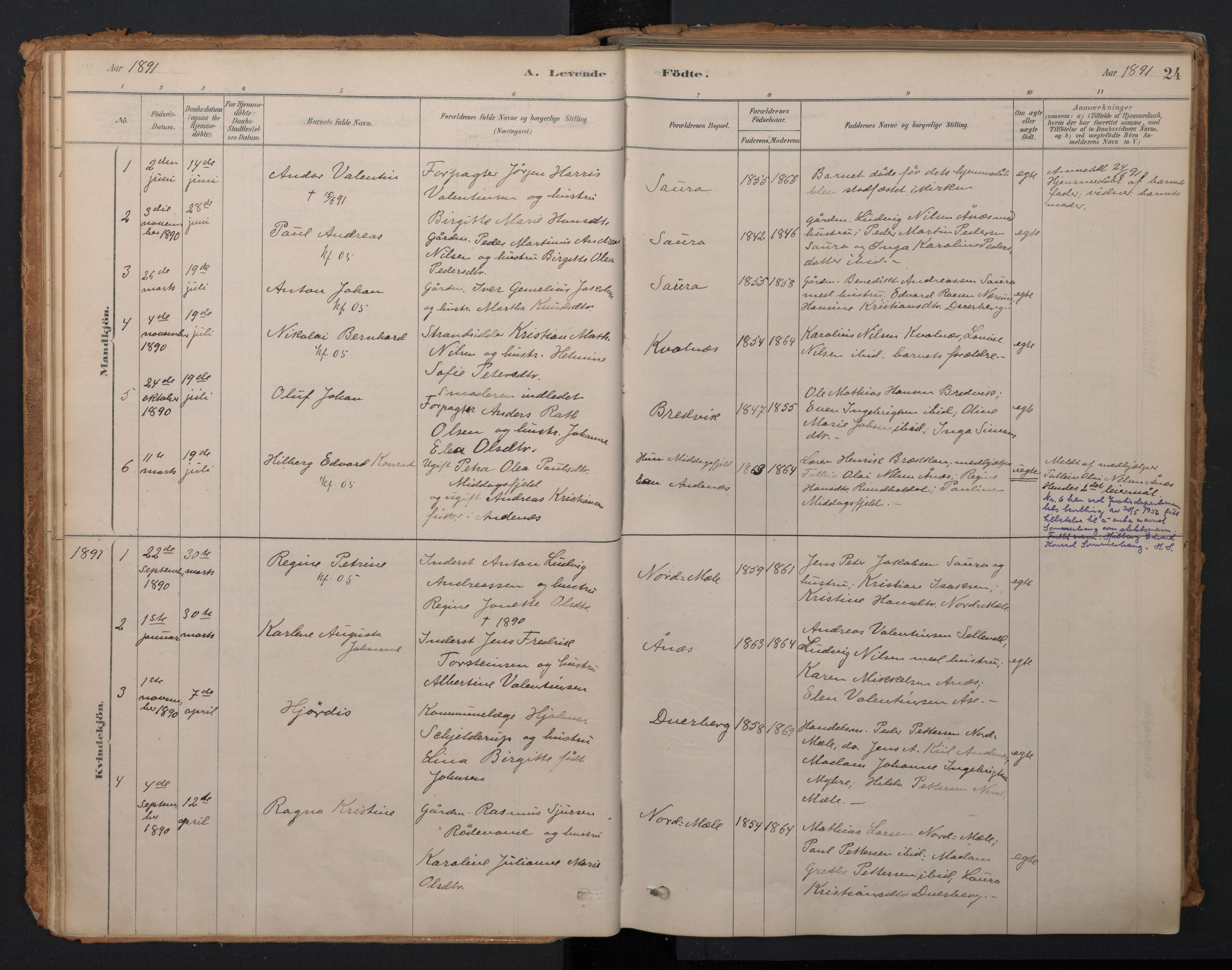 Ministerialprotokoller, klokkerbøker og fødselsregistre - Nordland, AV/SAT-A-1459/897/L1399: Parish register (official) no. 897A06, 1881-1896, p. 24