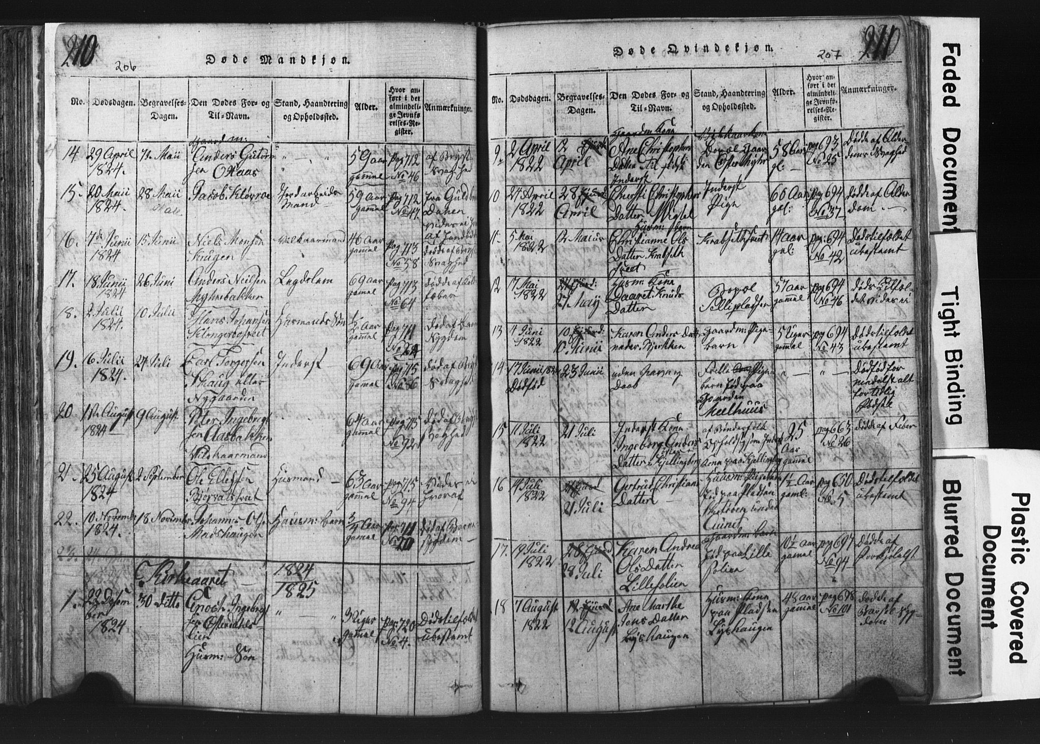 Ministerialprotokoller, klokkerbøker og fødselsregistre - Nord-Trøndelag, AV/SAT-A-1458/701/L0017: Parish register (copy) no. 701C01, 1817-1825, p. 206-207