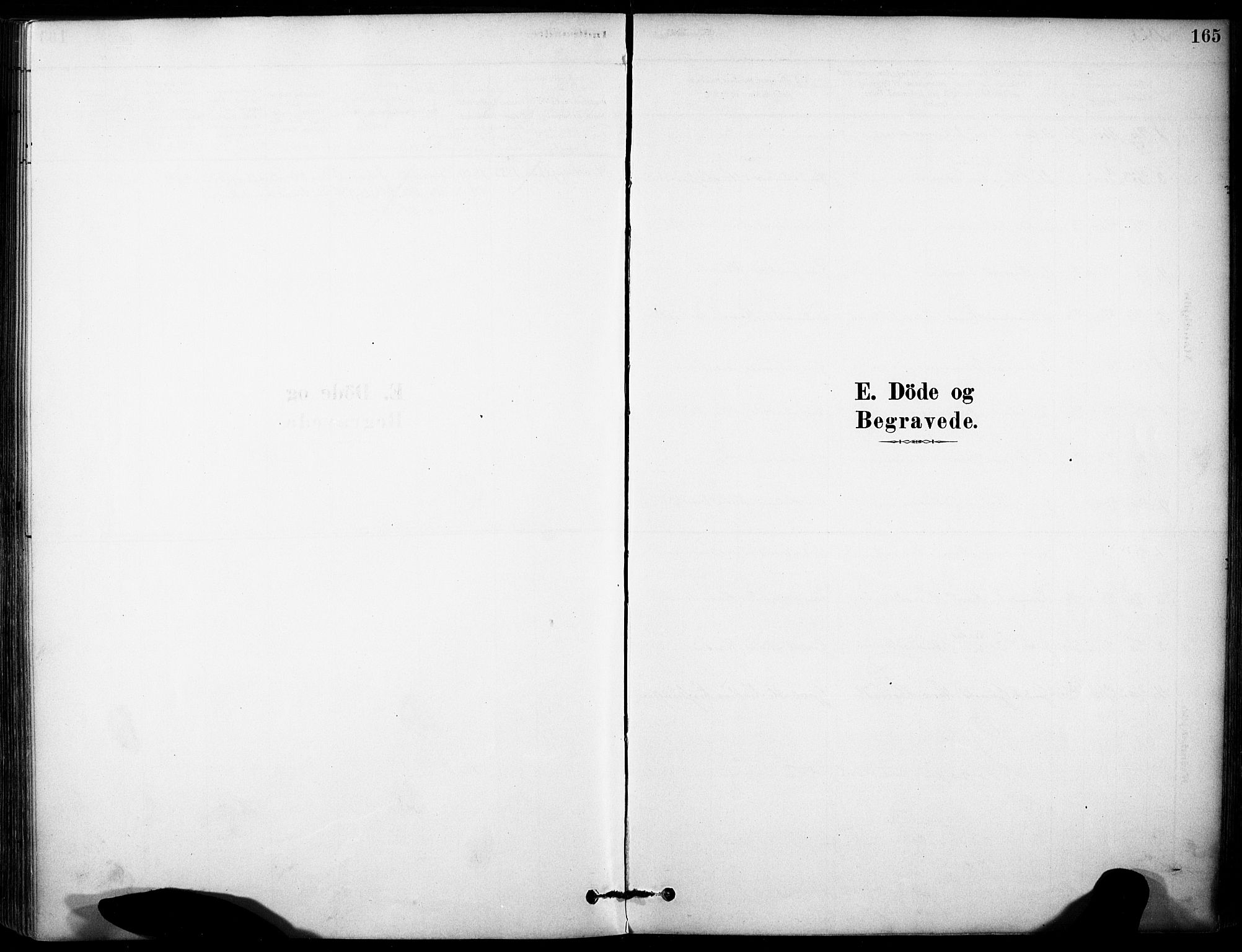 Rakkestad prestekontor Kirkebøker, SAO/A-2008/F/Fb/L0001: Parish register (official) no. II 1, 1878-1899, p. 165