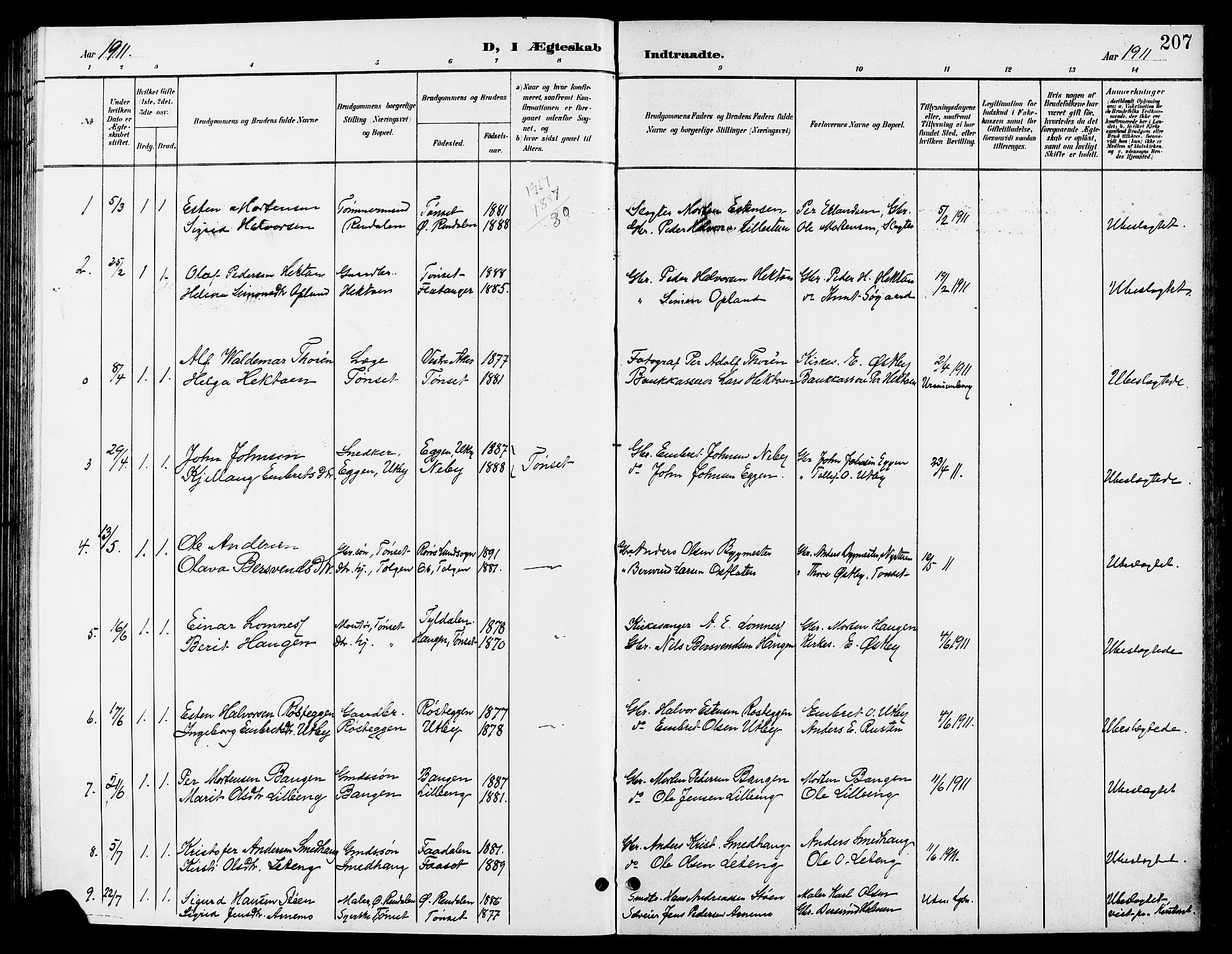 Tynset prestekontor, AV/SAH-PREST-058/H/Ha/Hab/L0009: Parish register (copy) no. 9, 1900-1914, p. 207