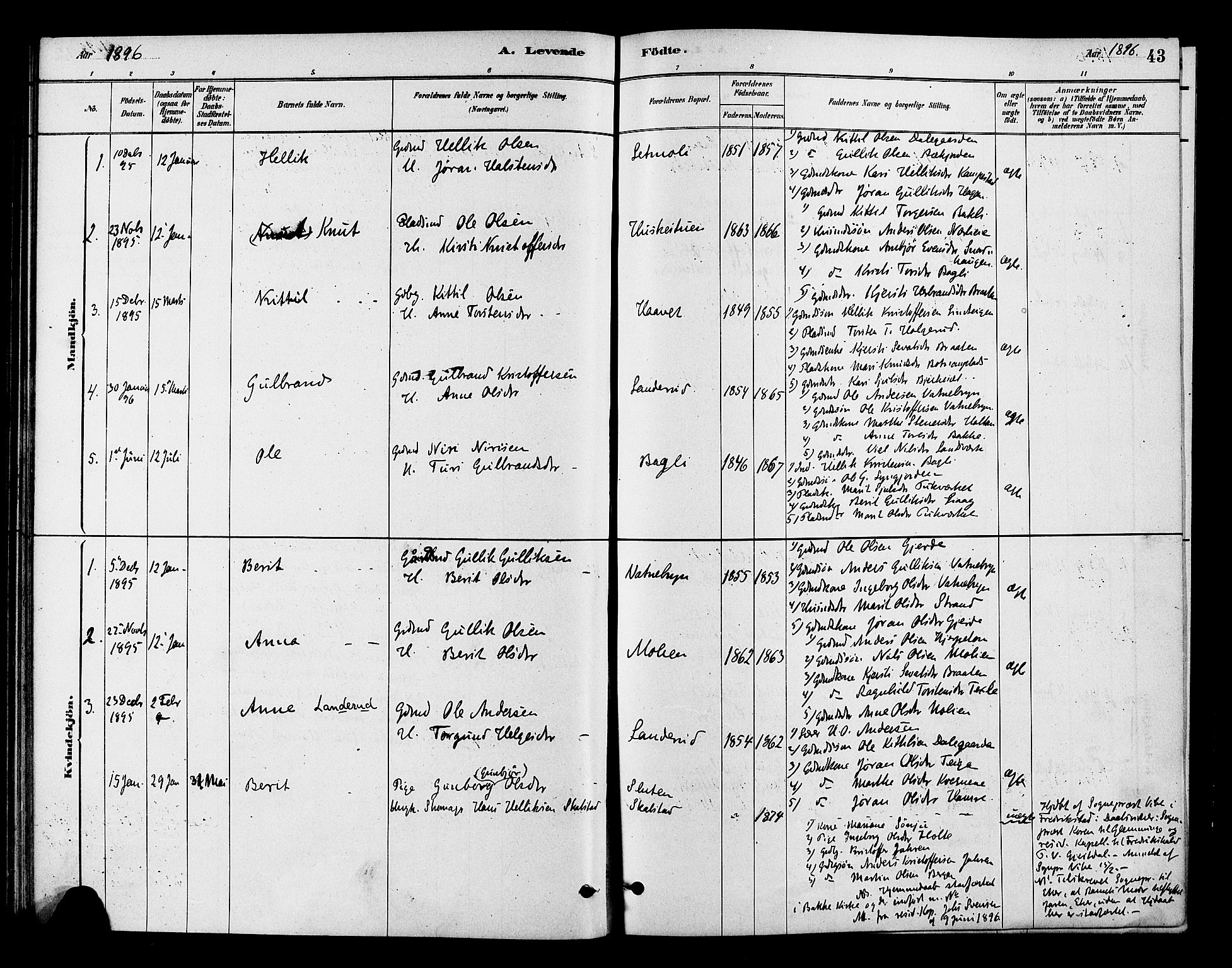 Flesberg kirkebøker, SAKO/A-18/F/Fc/L0001: Parish register (official) no. III 1, 1879-1905, p. 43