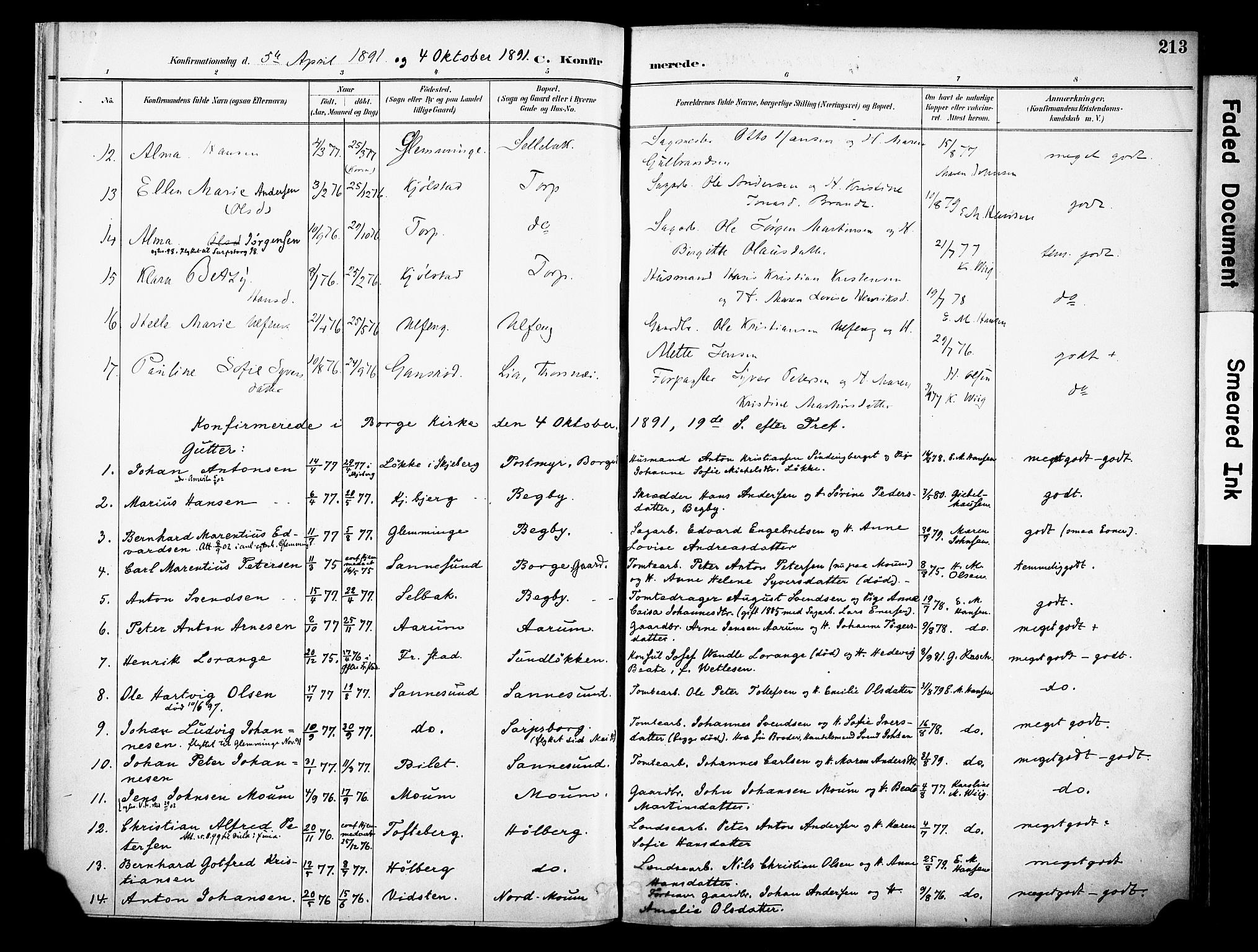 Borge prestekontor Kirkebøker, AV/SAO-A-10903/F/Fa/L0008: Parish register (official) no. I 8B, 1887-1902, p. 213