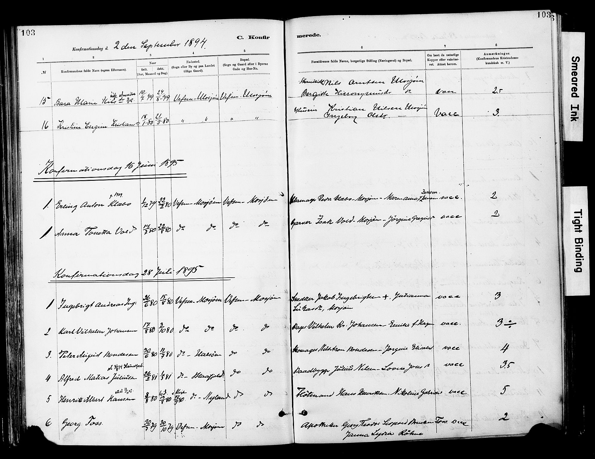 Ministerialprotokoller, klokkerbøker og fødselsregistre - Nordland, AV/SAT-A-1459/820/L0296: Parish register (official) no. 820A17, 1880-1903, p. 103