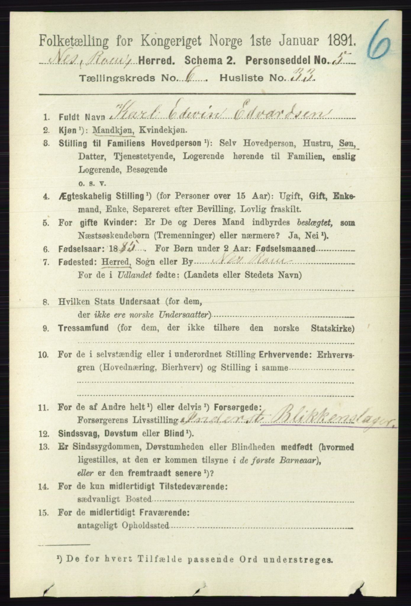 RA, 1891 census for 0236 Nes, 1891, p. 3590