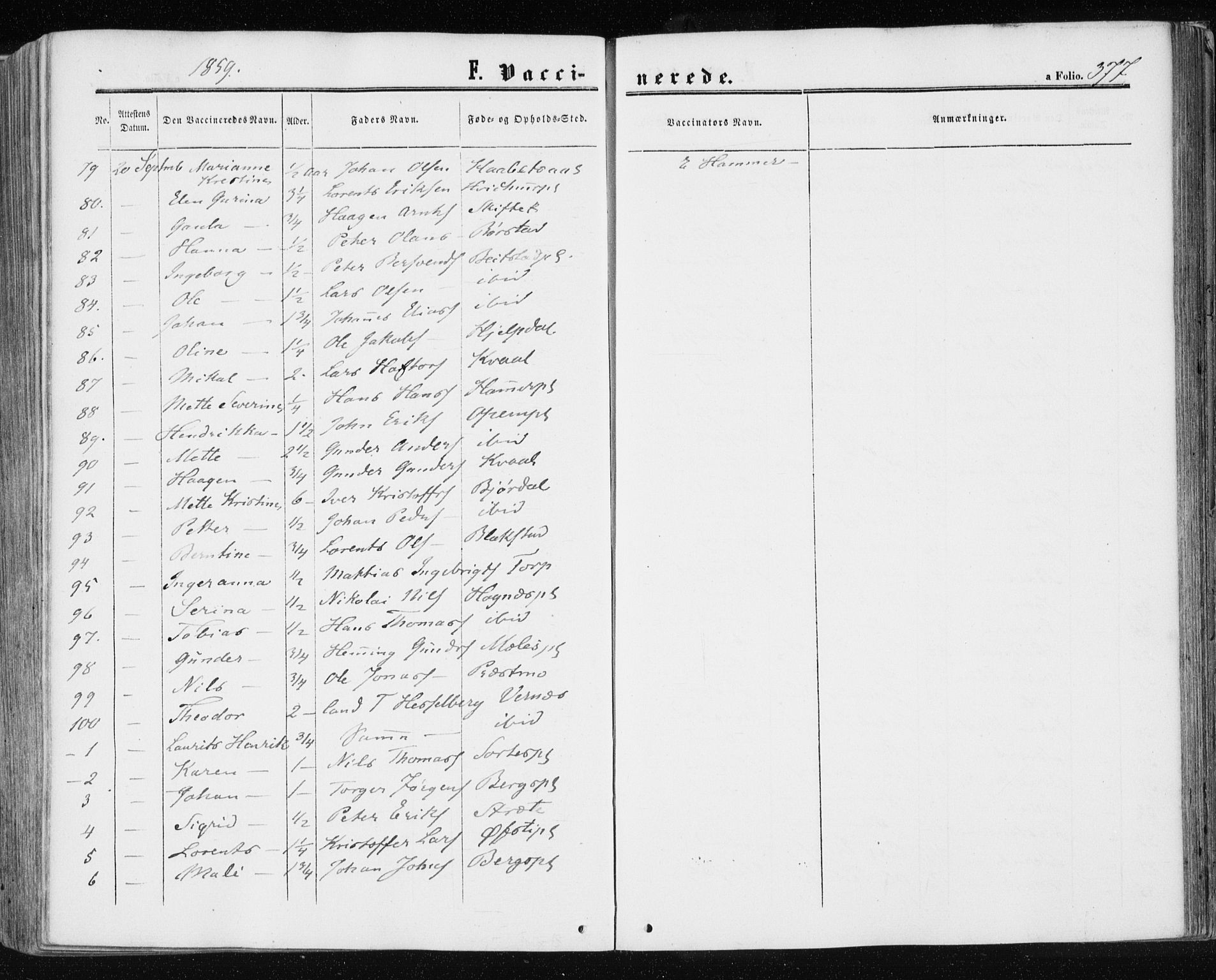 Ministerialprotokoller, klokkerbøker og fødselsregistre - Nord-Trøndelag, AV/SAT-A-1458/709/L0075: Parish register (official) no. 709A15, 1859-1870, p. 377