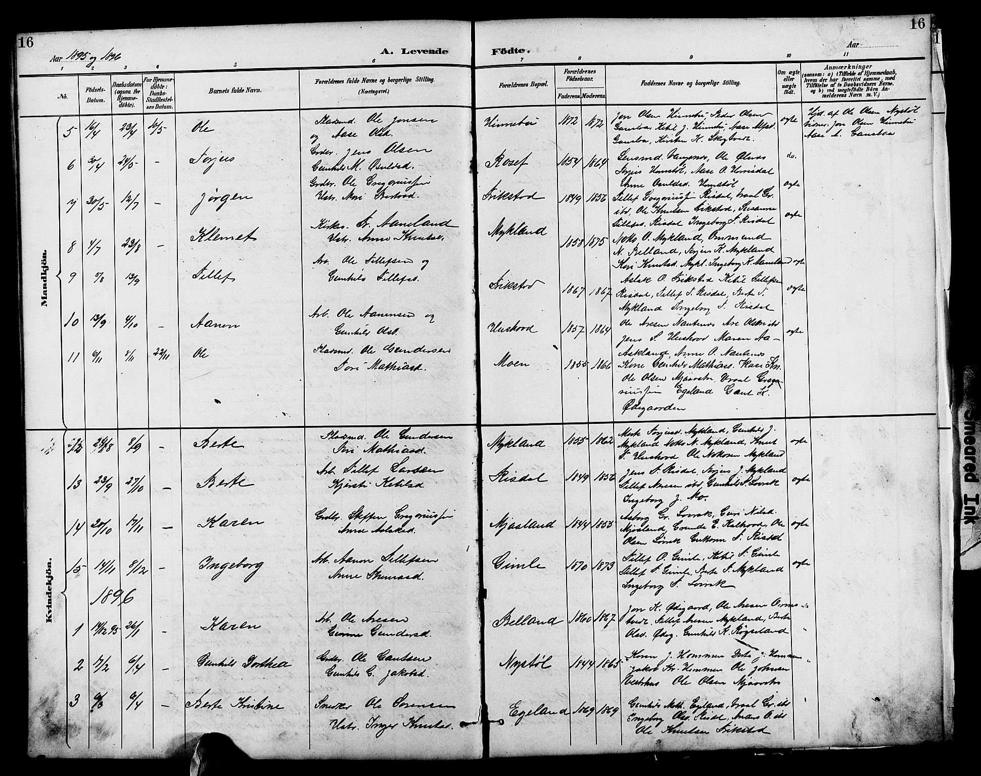 Herefoss sokneprestkontor, AV/SAK-1111-0019/F/Fb/Fbc/L0003: Parish register (copy) no. B 3, 1887-1915, p. 16