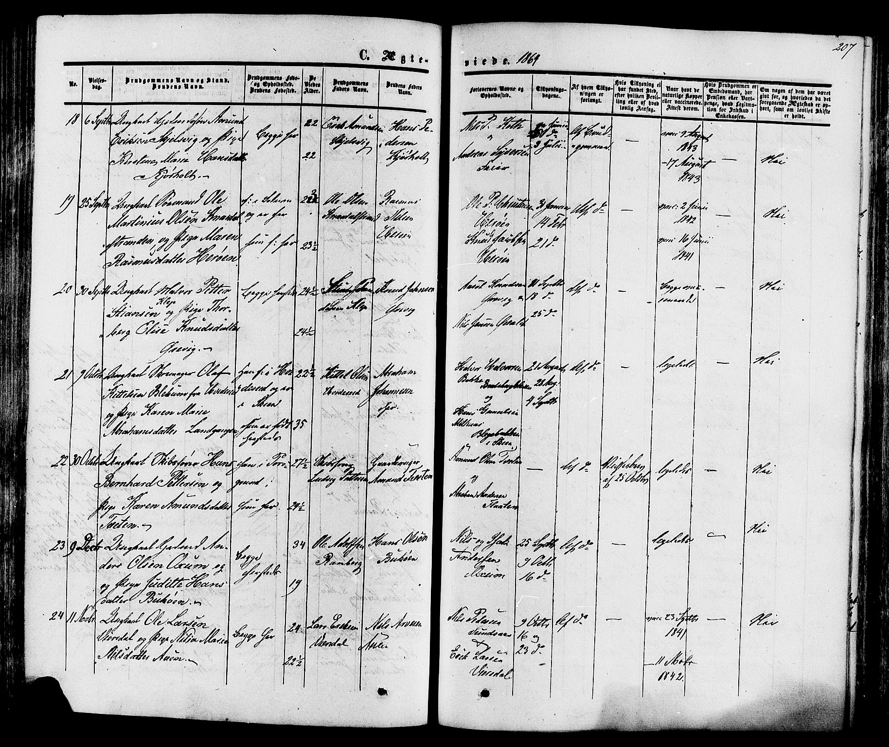 Eidanger kirkebøker, SAKO/A-261/F/Fa/L0010: Parish register (official) no. 10, 1859-1874, p. 207