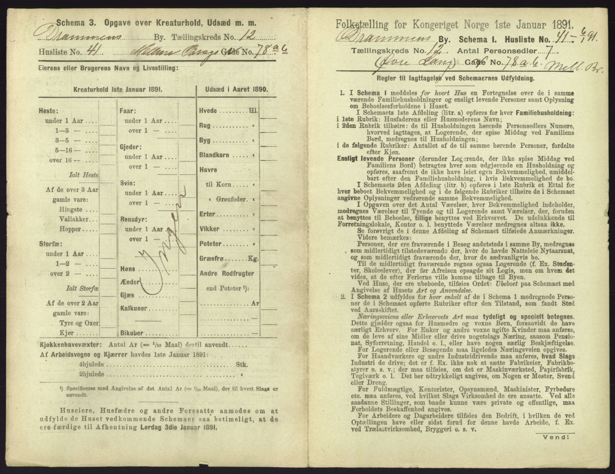 RA, 1891 census for 0602 Drammen, 1891, p. 1069