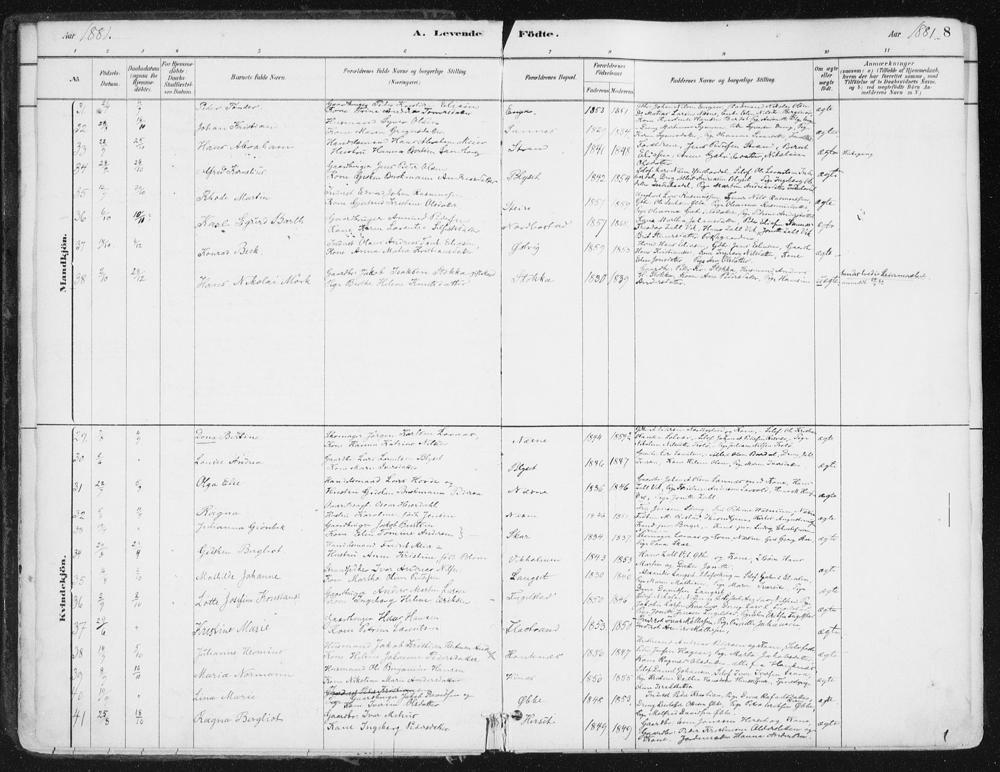 Ministerialprotokoller, klokkerbøker og fødselsregistre - Nordland, AV/SAT-A-1459/838/L0552: Parish register (official) no. 838A10, 1880-1910, p. 8