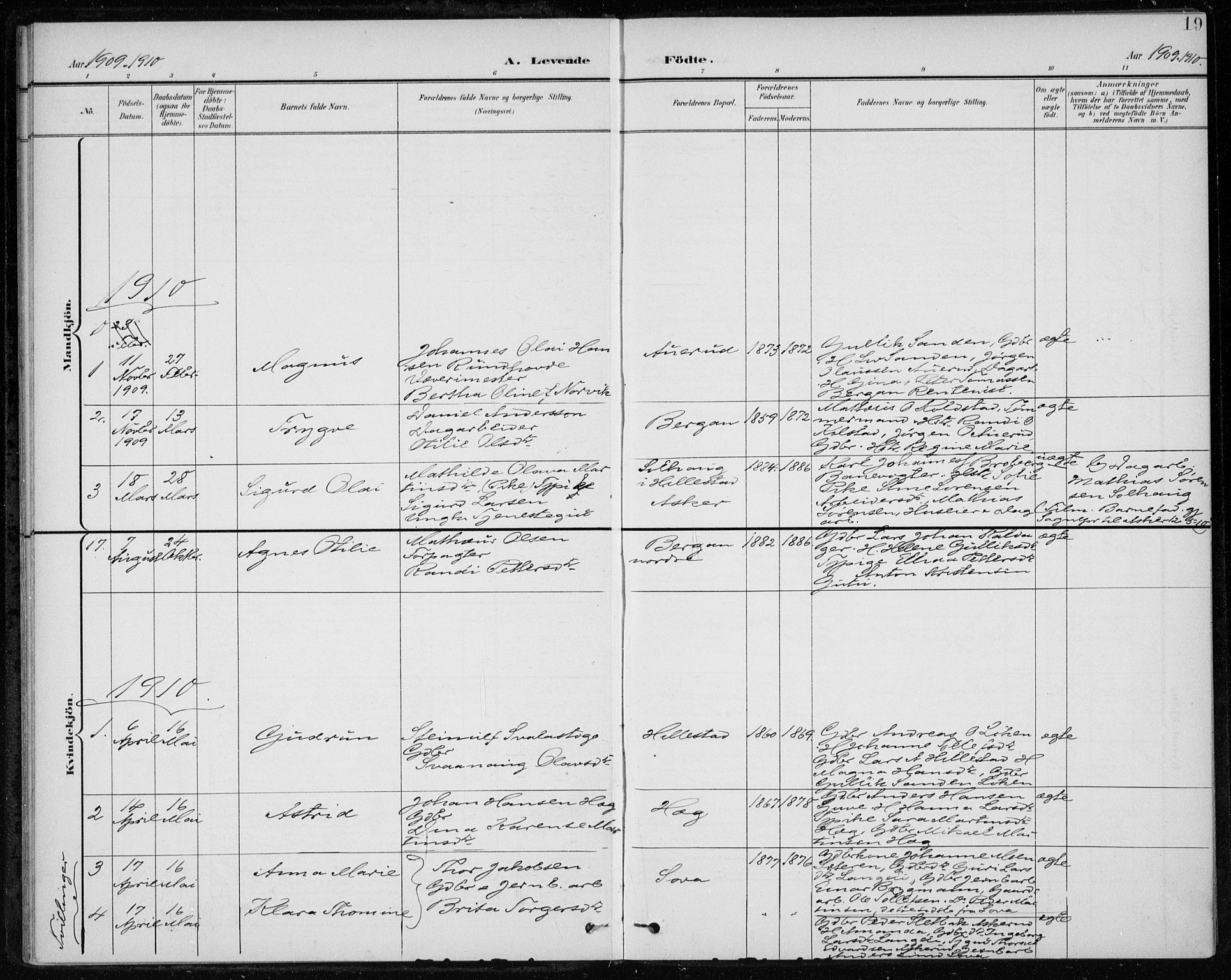 Botne kirkebøker, SAKO/A-340/F/Fb/L0002: Parish register (official) no. II 2, 1902-1915, p. 19