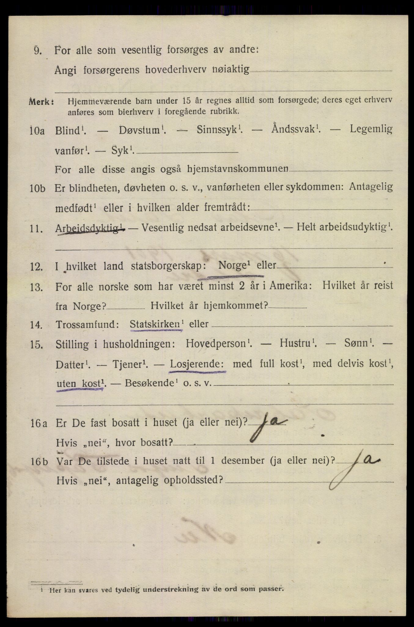 SAKO, 1920 census for Notodden, 1920, p. 6575