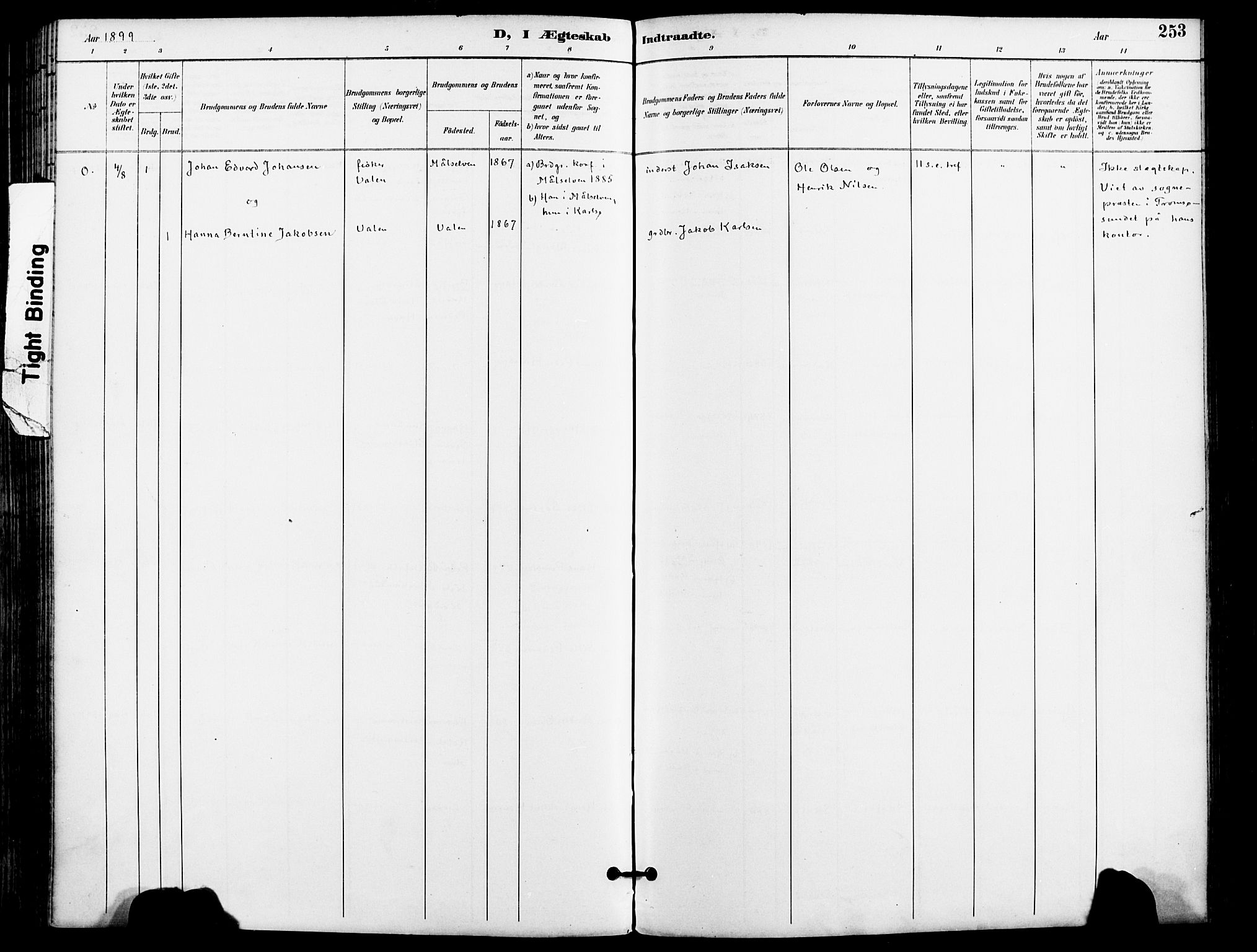 Karlsøy sokneprestembete, AV/SATØ-S-1299/H/Ha/Haa/L0007kirke: Parish register (official) no. 7, 1891-1902, p. 253