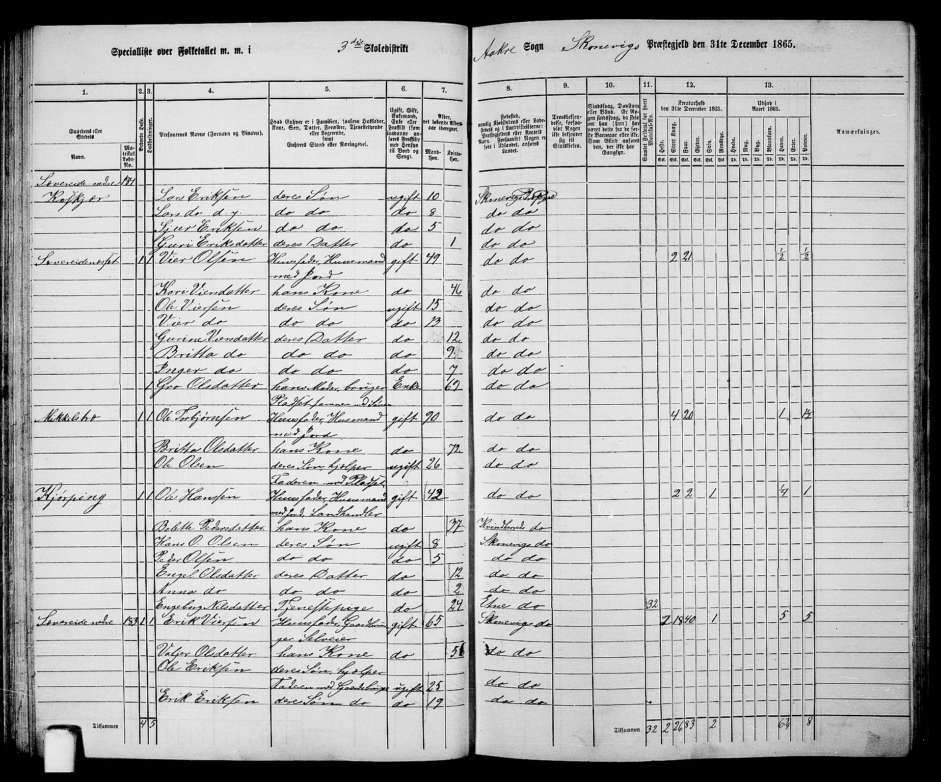 RA, 1865 census for Skånevik, 1865, p. 60