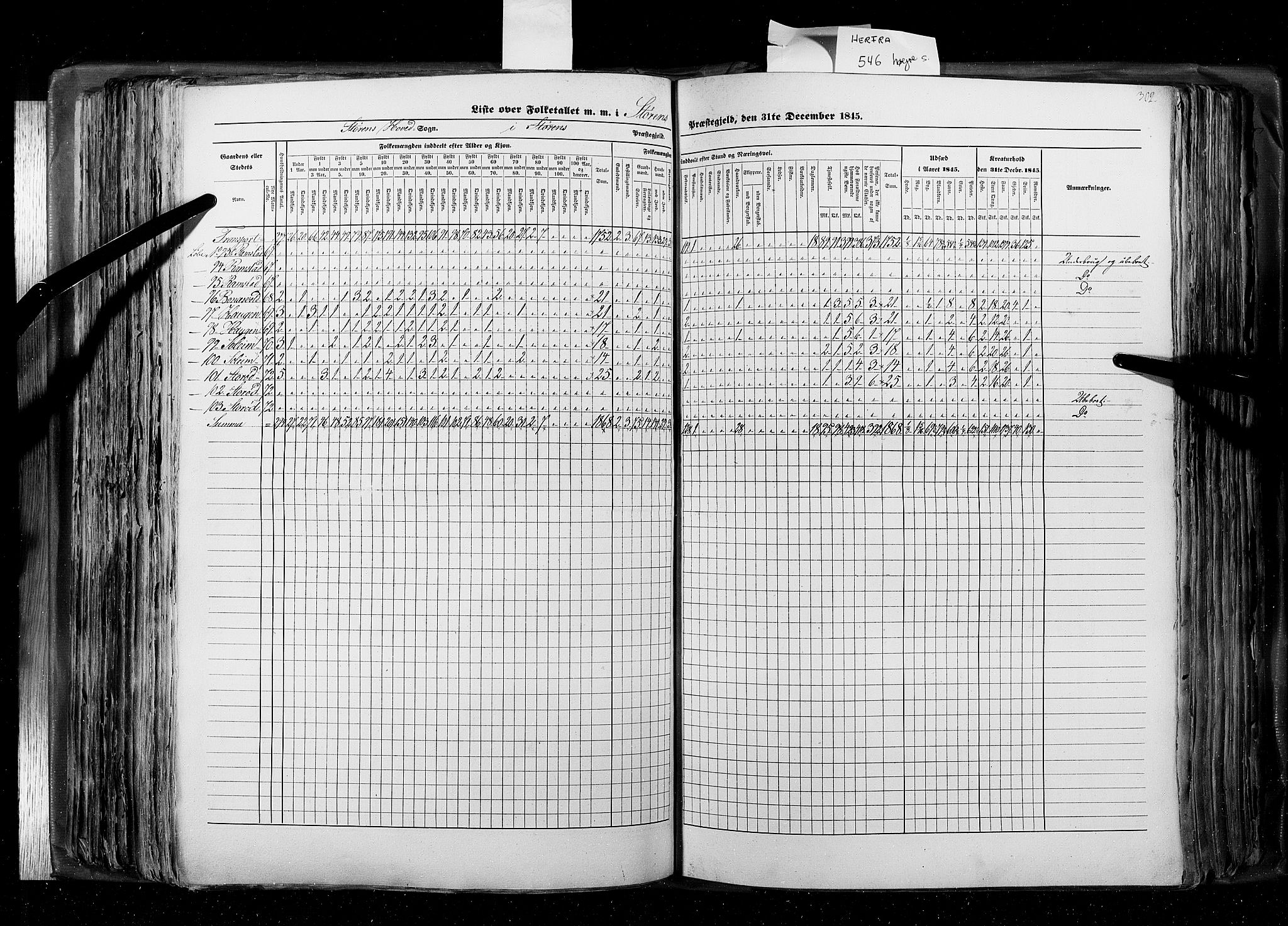 RA, Census 1845, vol. 8: Romsdal amt og Søndre Trondhjems amt, 1845, p. 302